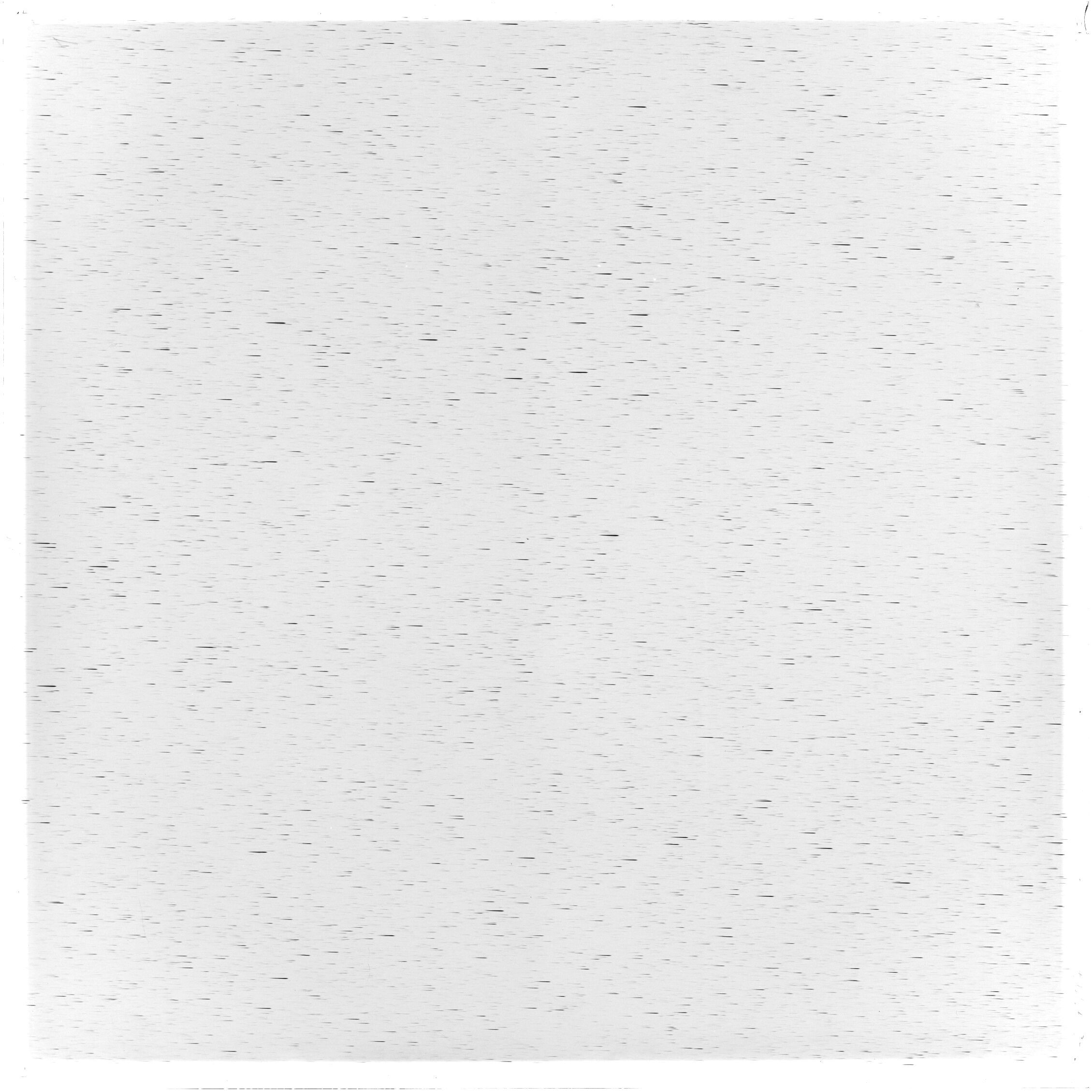 Scan GS04994