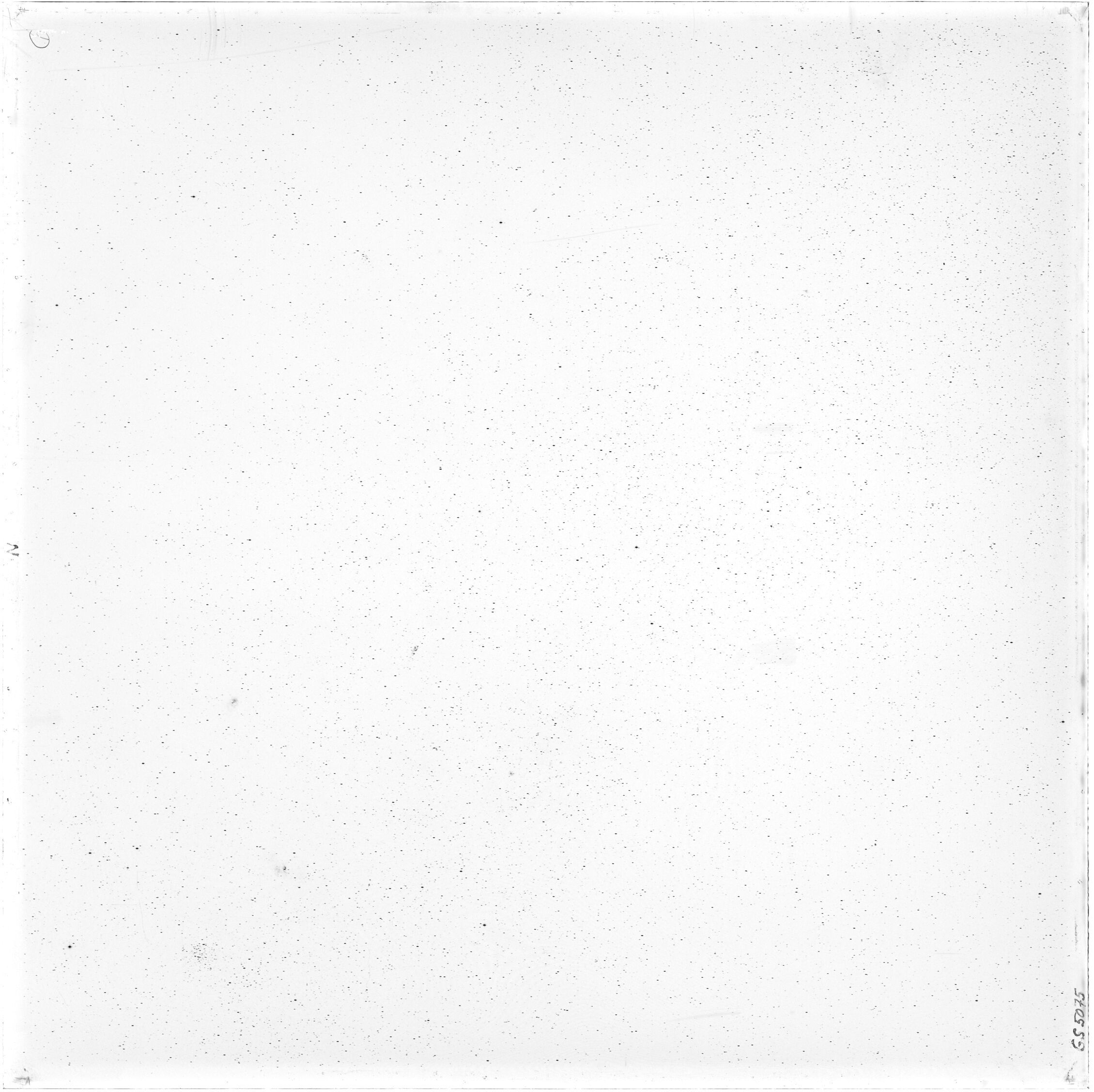 Scan GS05075
