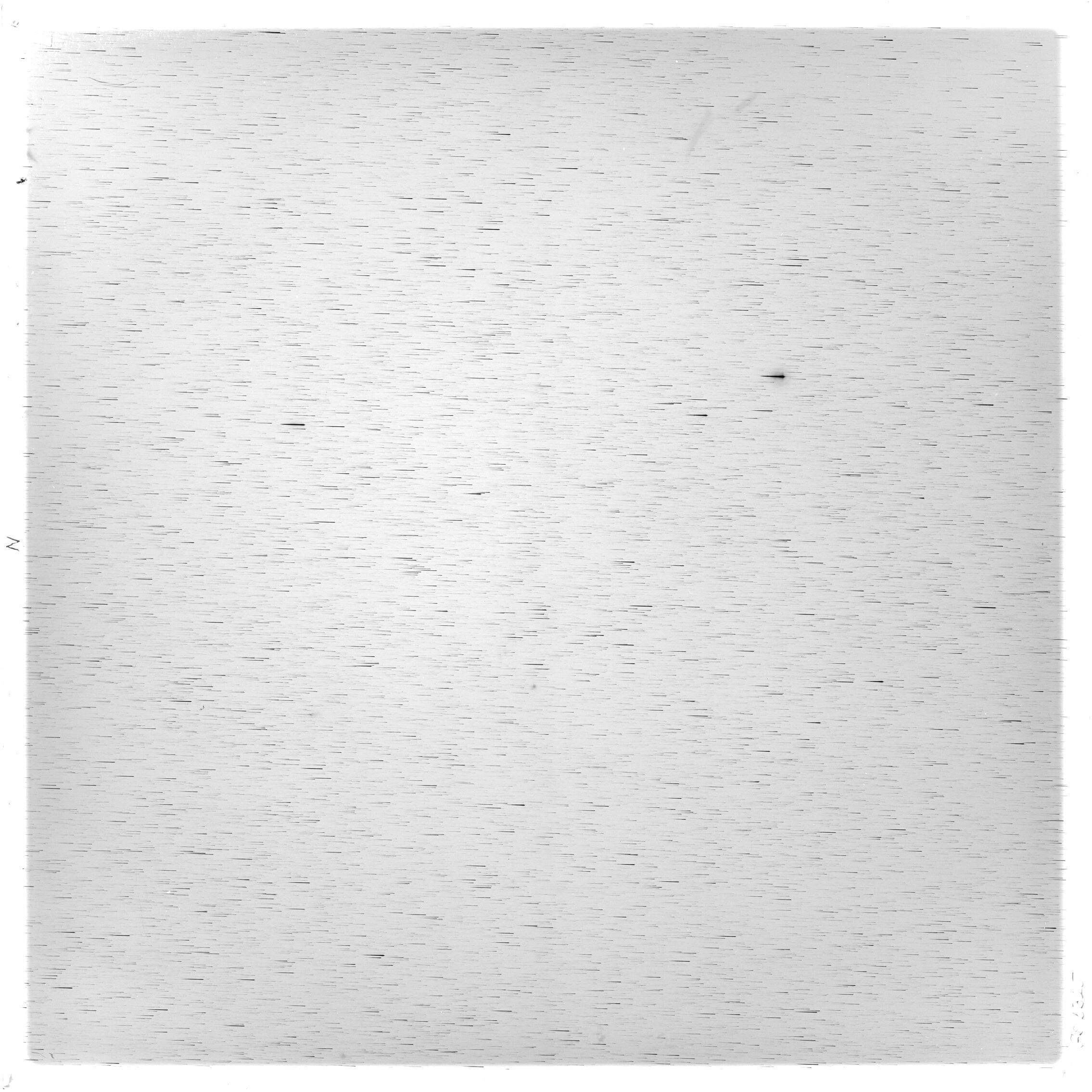Scan GS05325