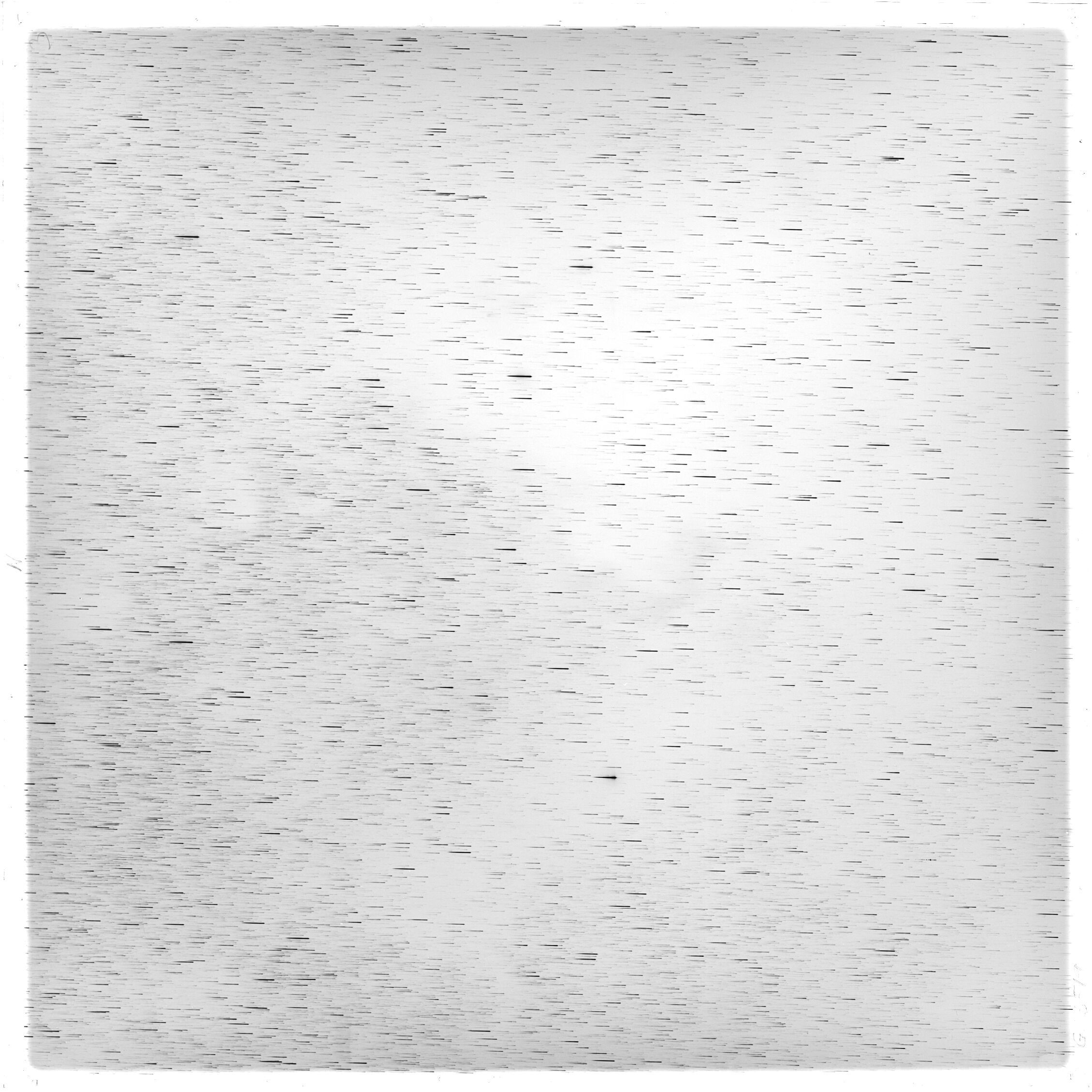 Scan GS05519