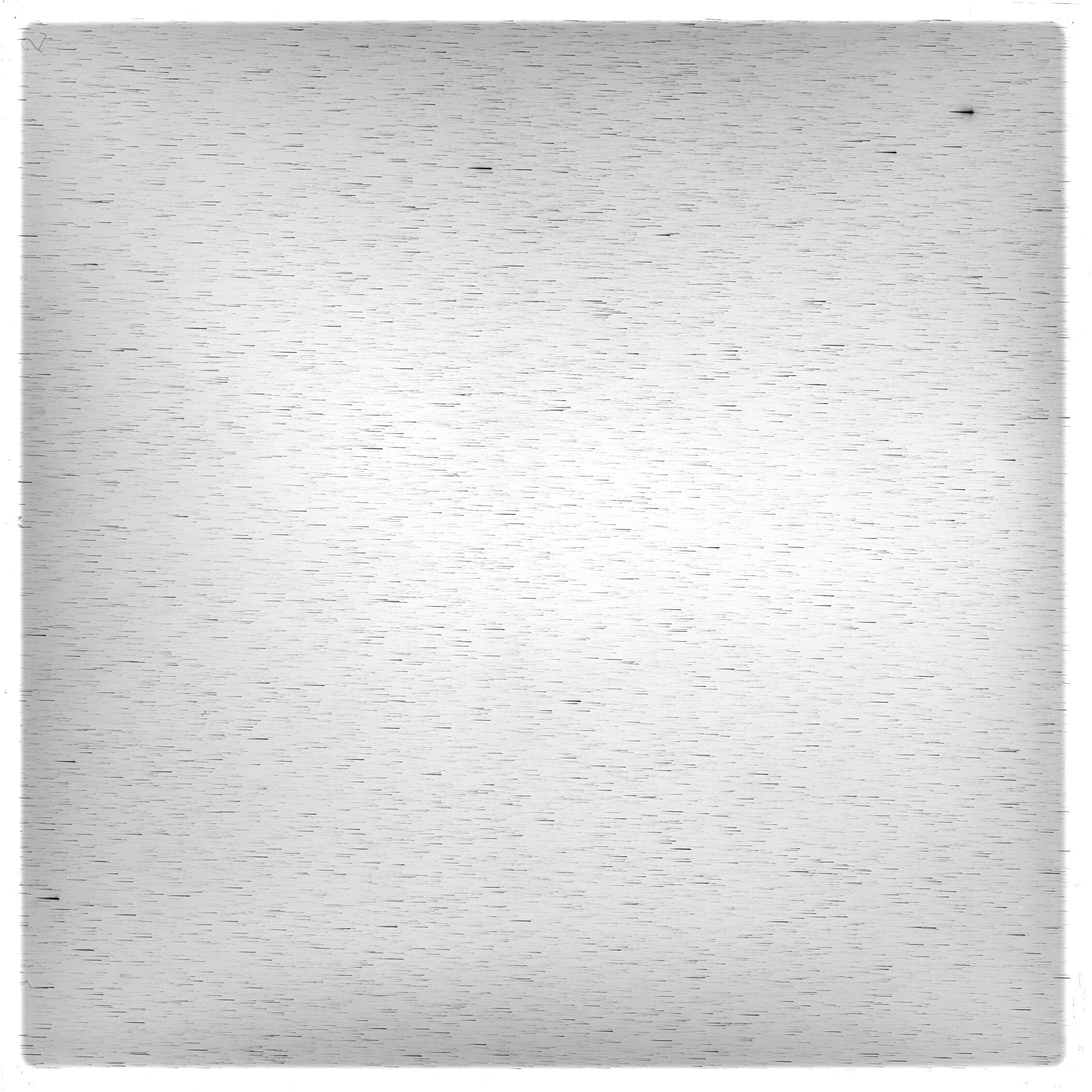 Scan GS05524