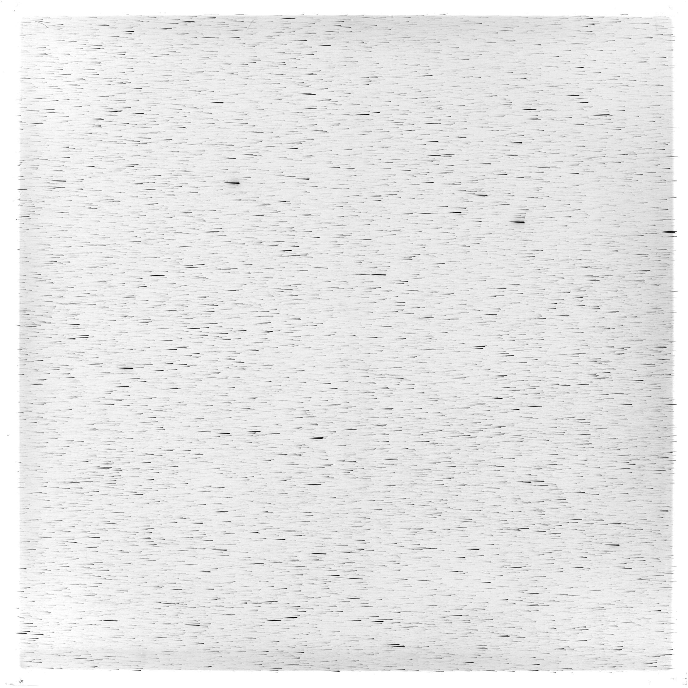 Scan GS05544