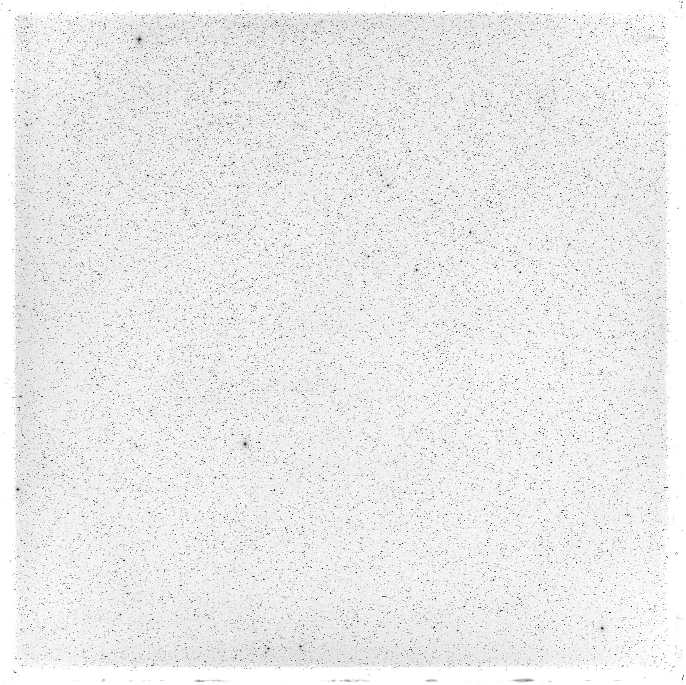 Scan GS05548