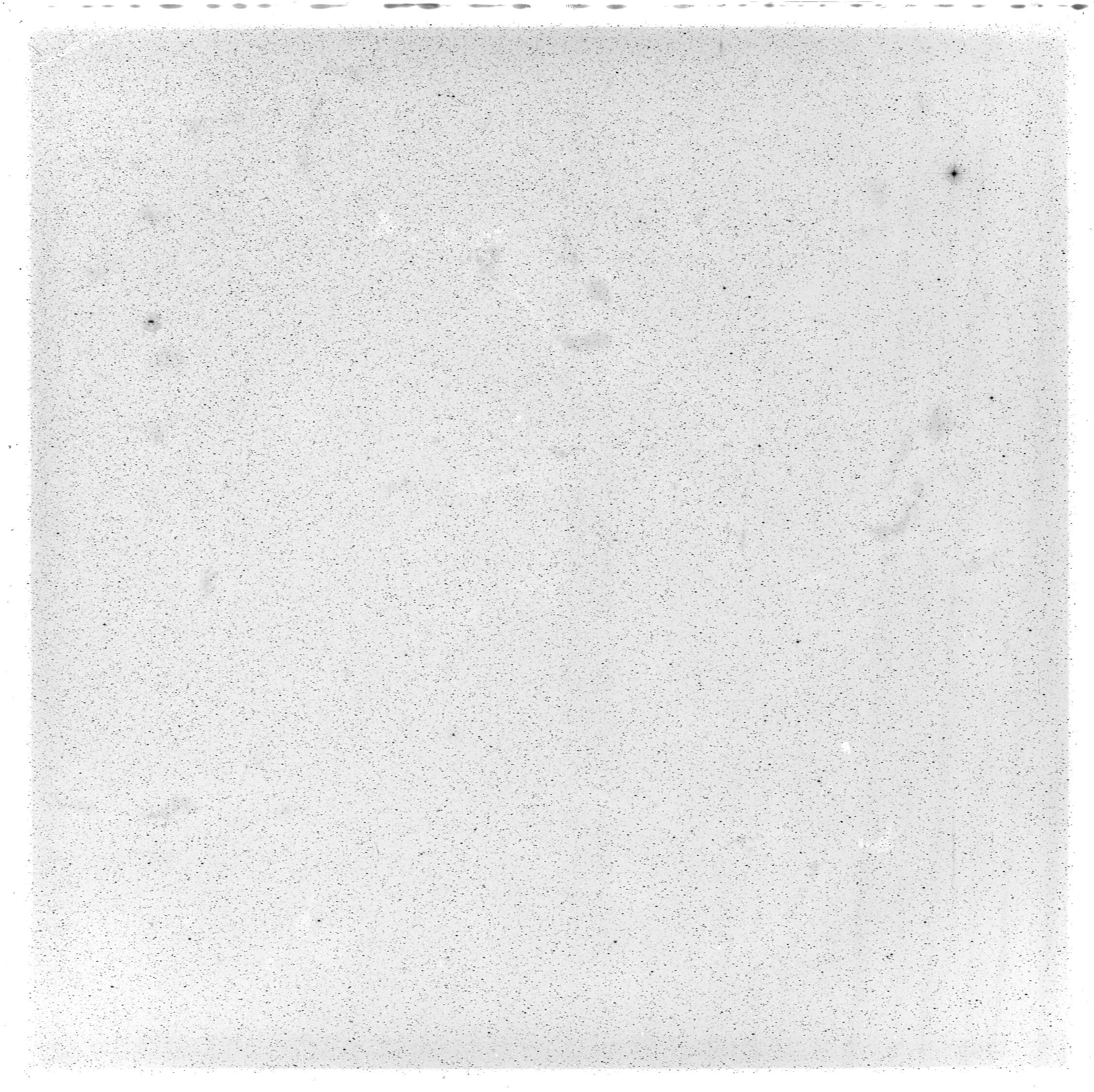 Scan GS05575a