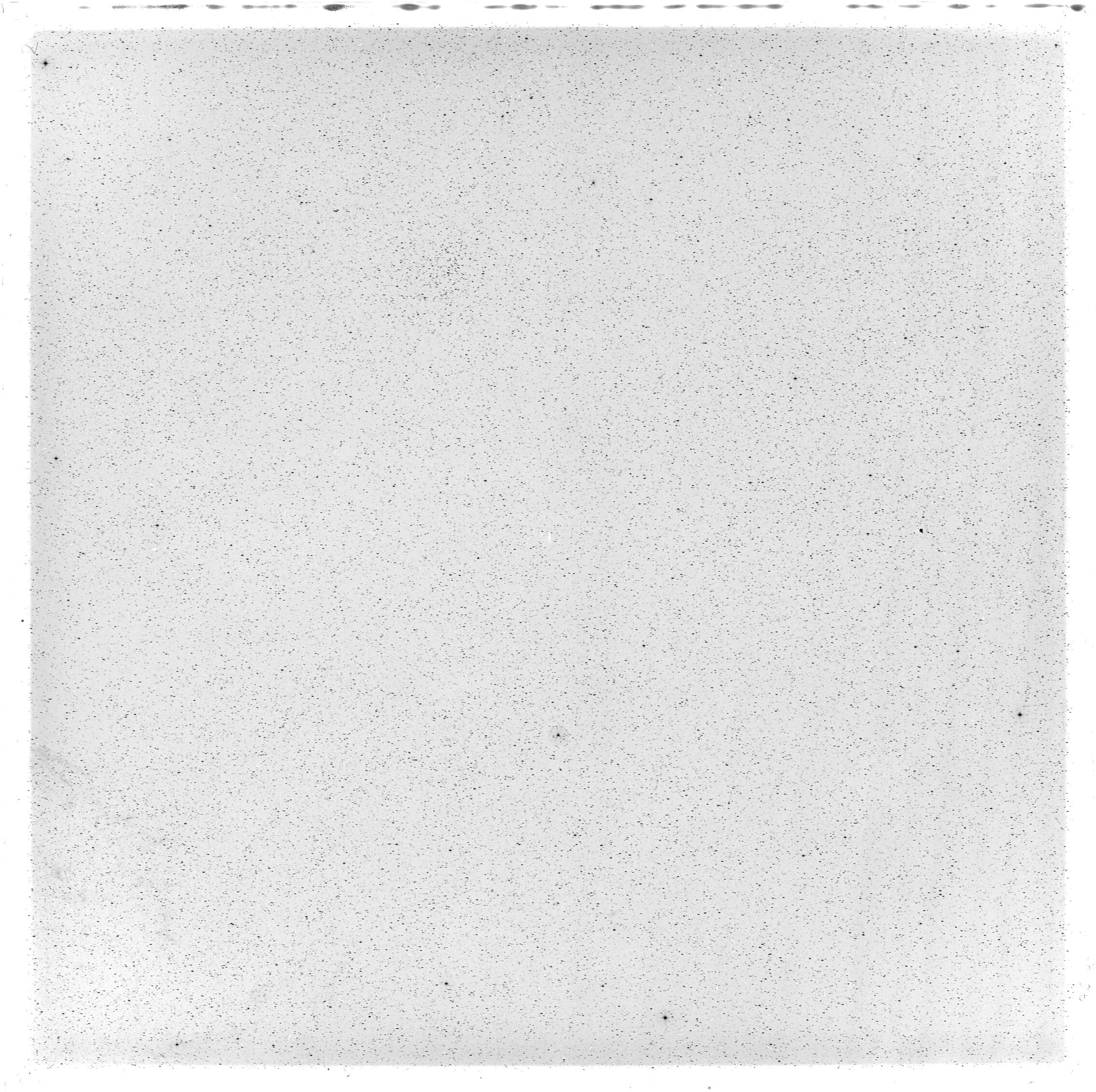 Scan GS05576