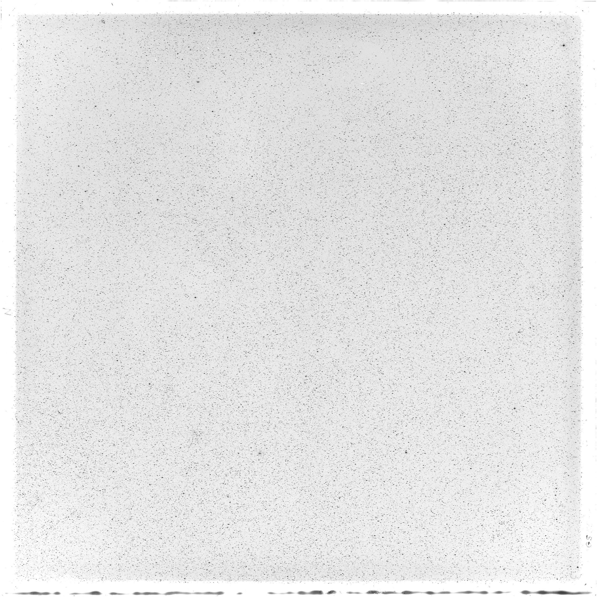 Scan GS05577
