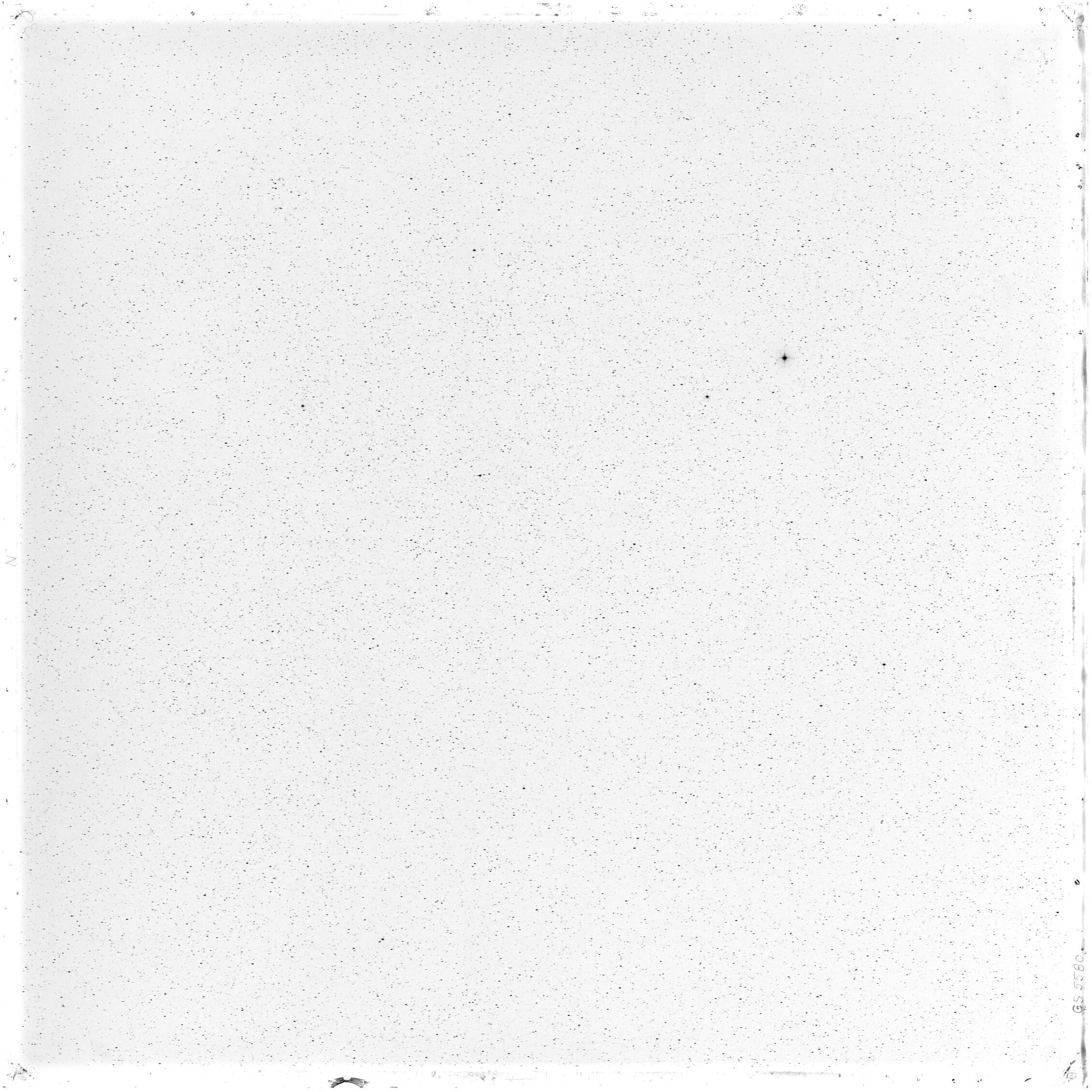Scan GS05580
