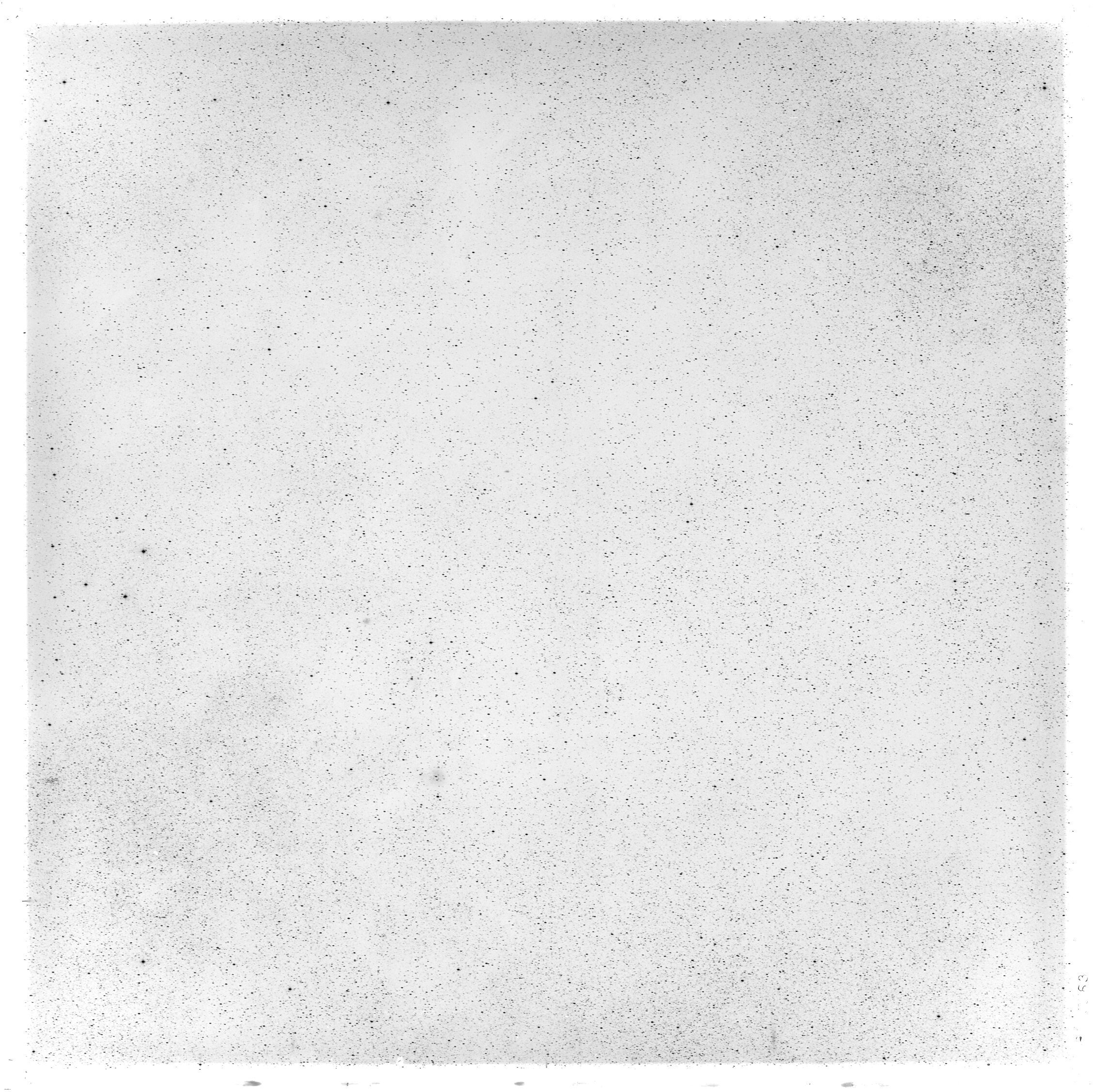 Scan GS05583