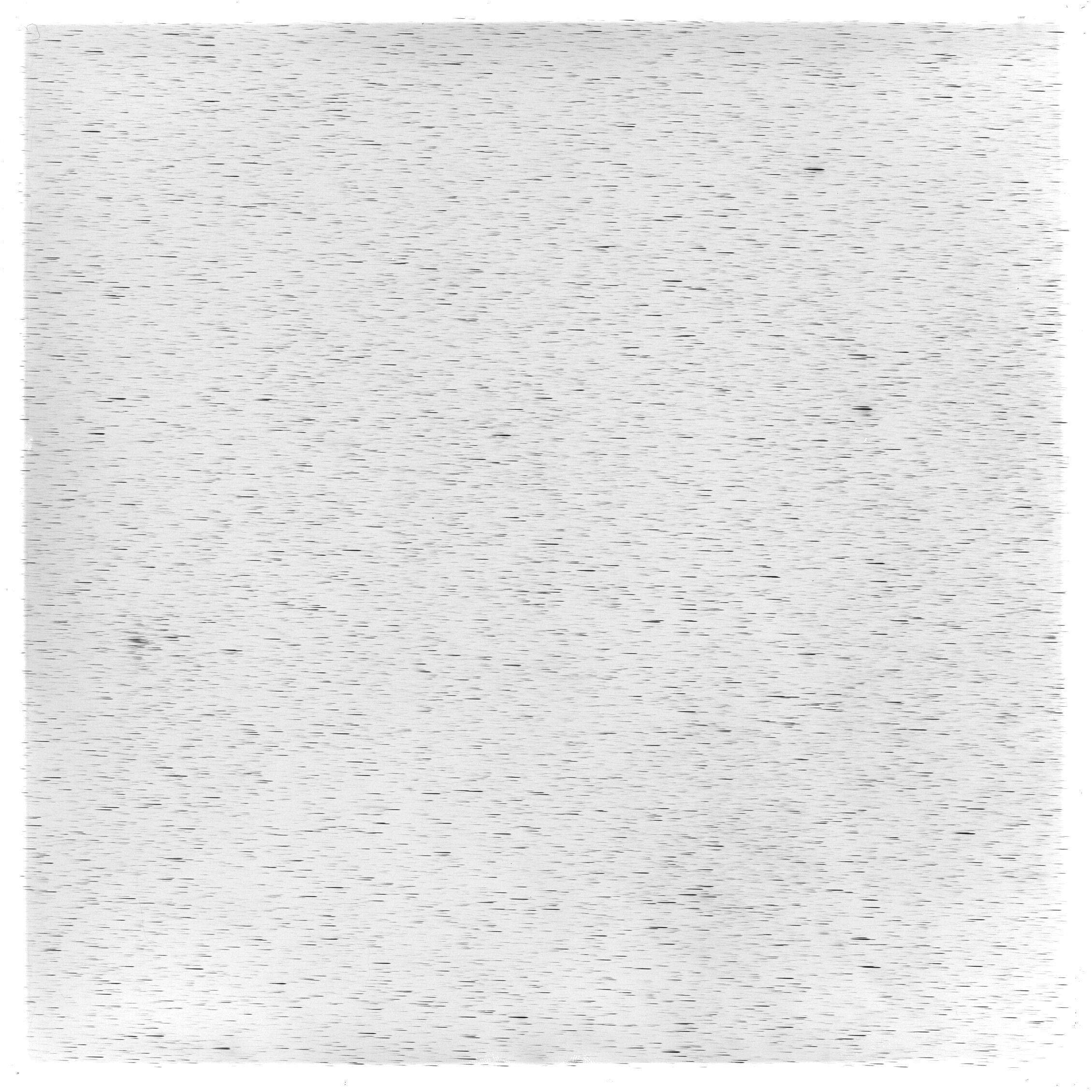 Scan GS05586