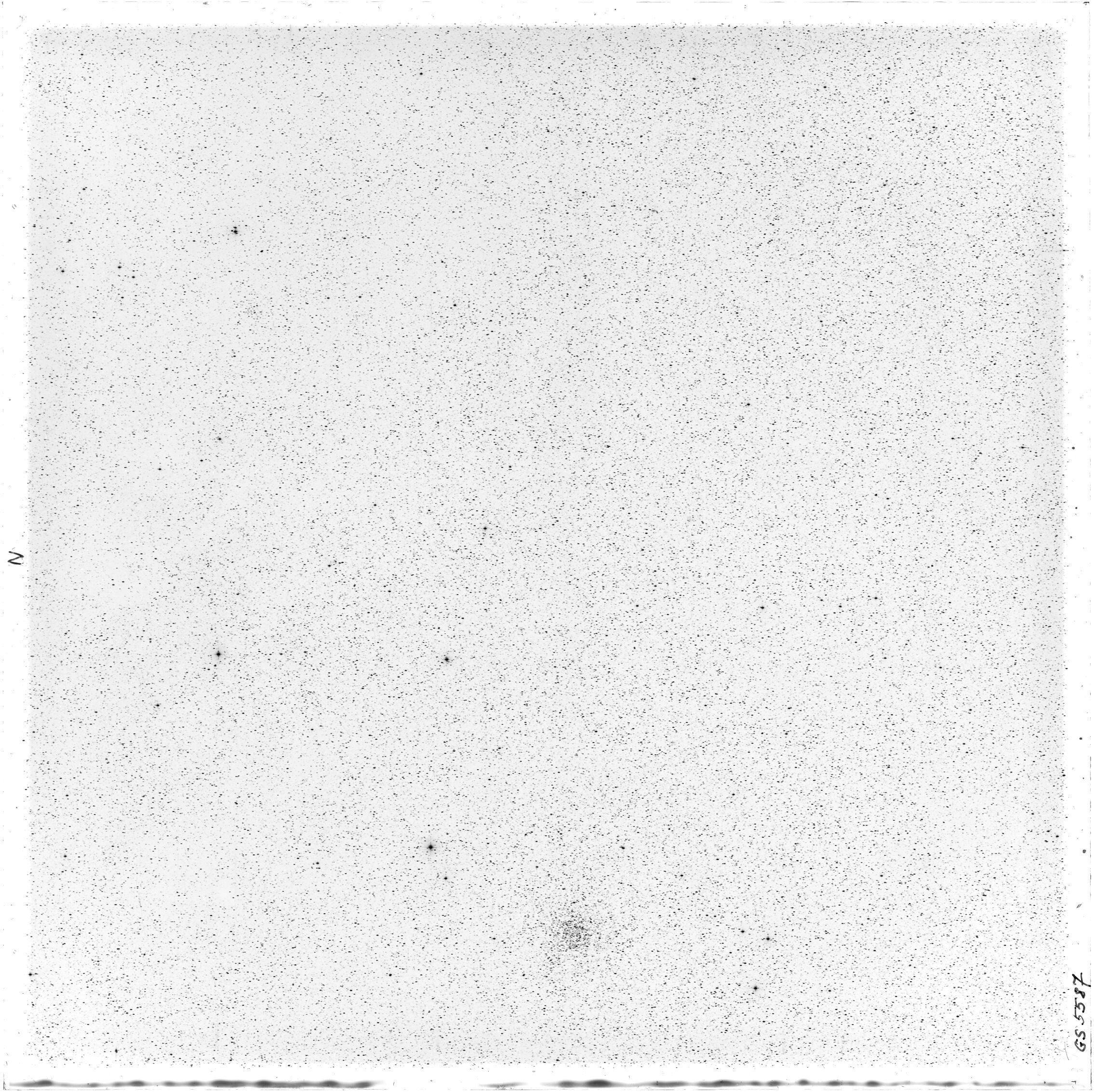 Scan GS05587