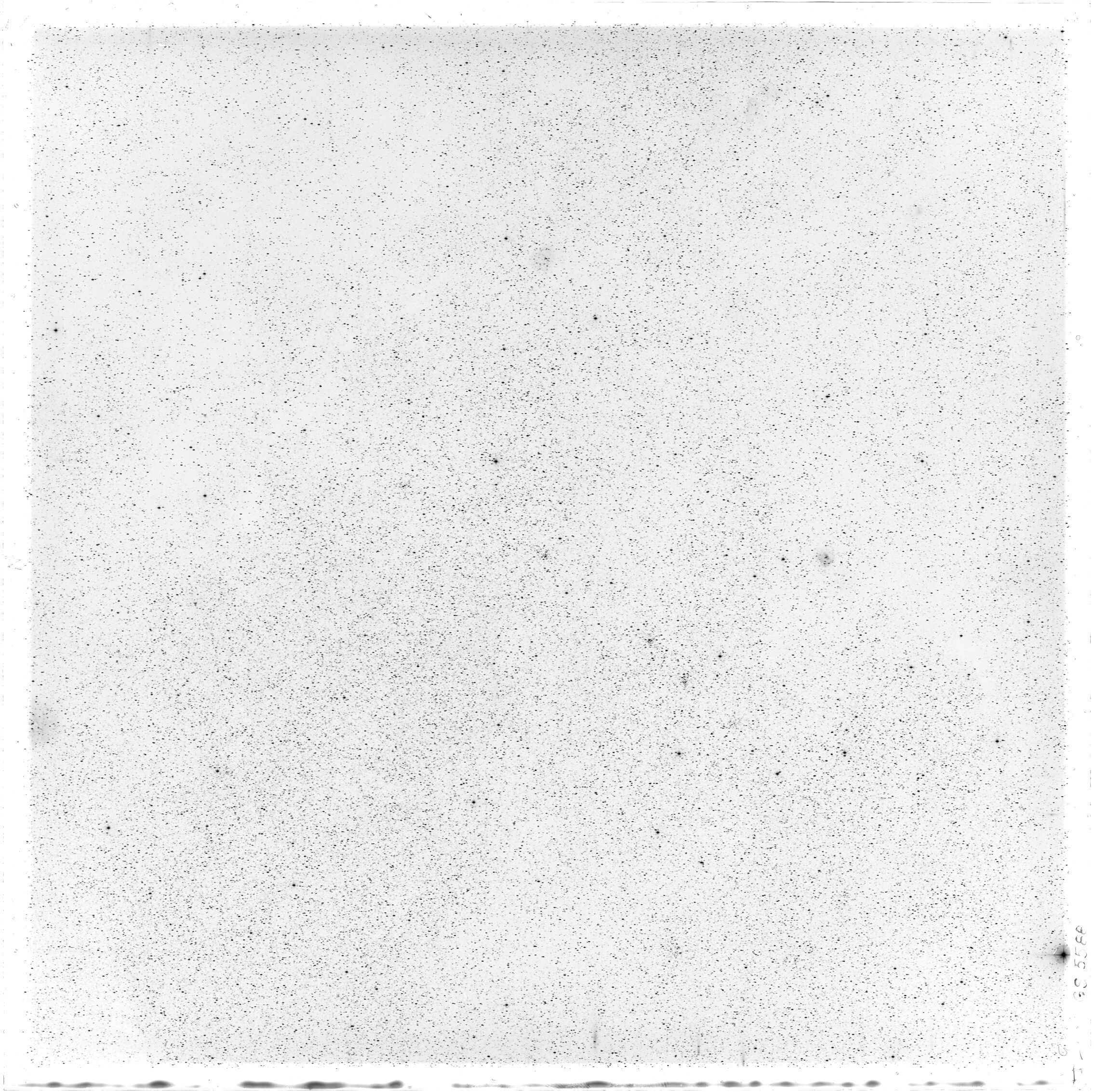 Scan GS05588