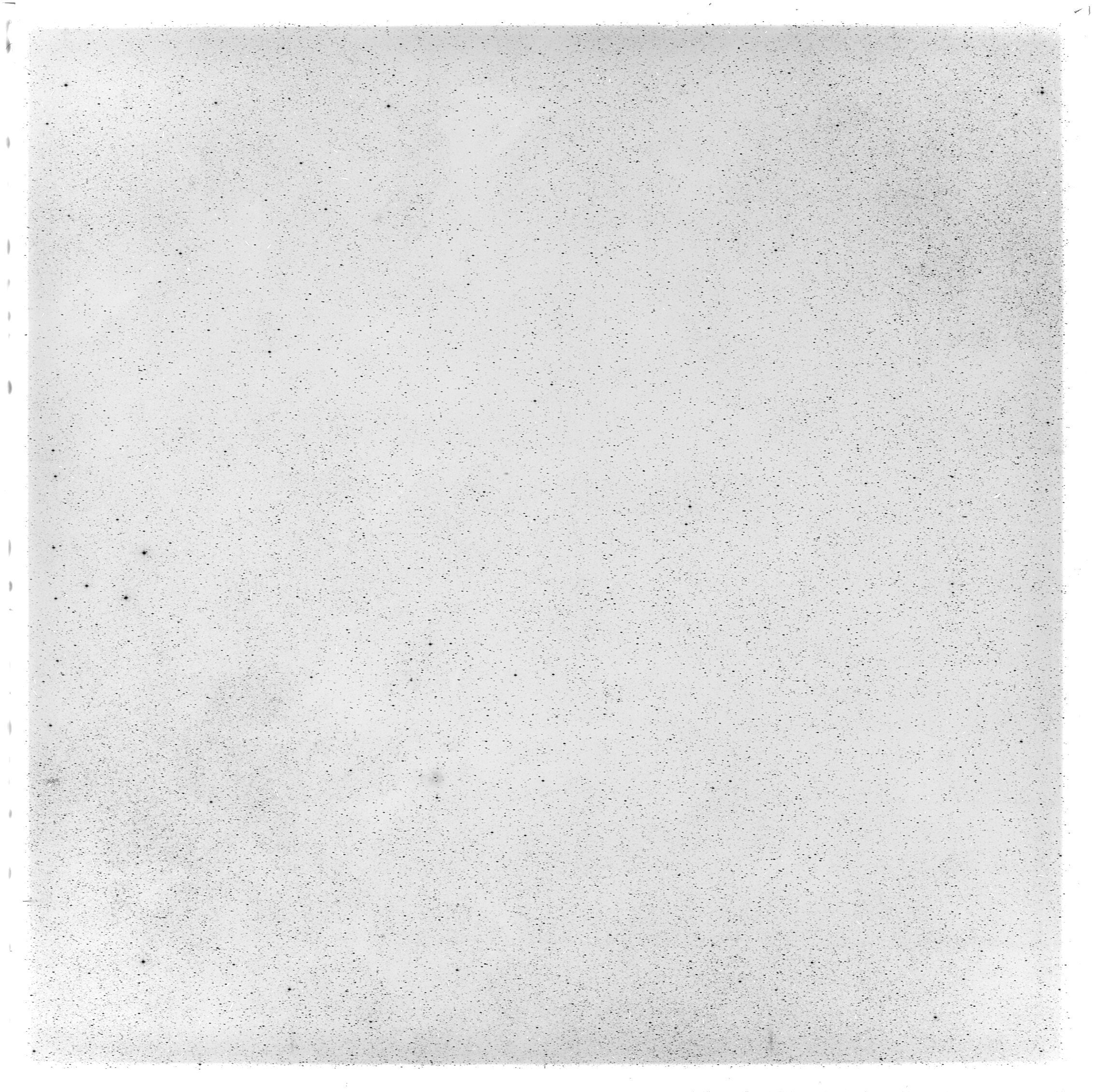 Scan GS05589