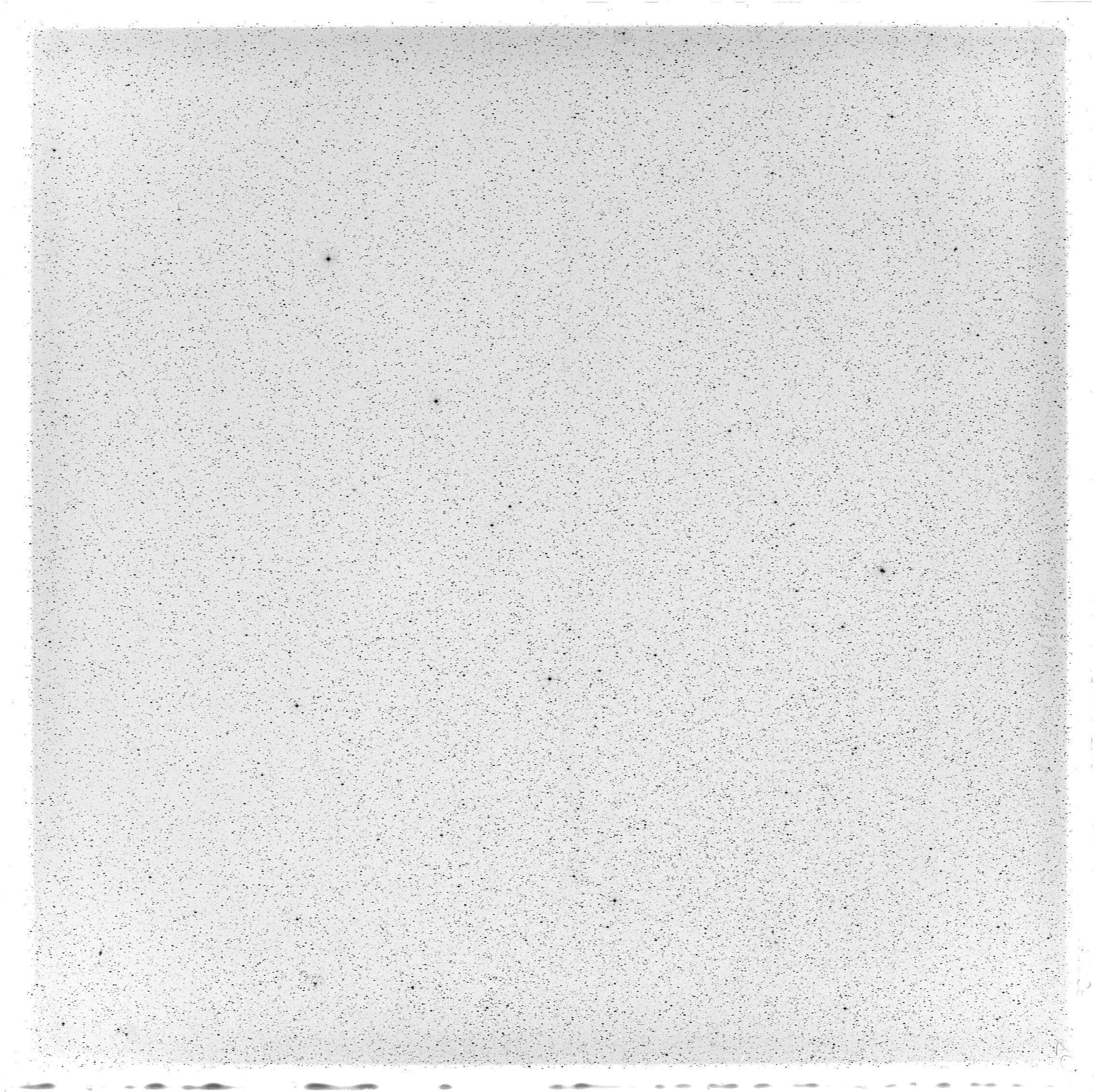 Scan GS05590