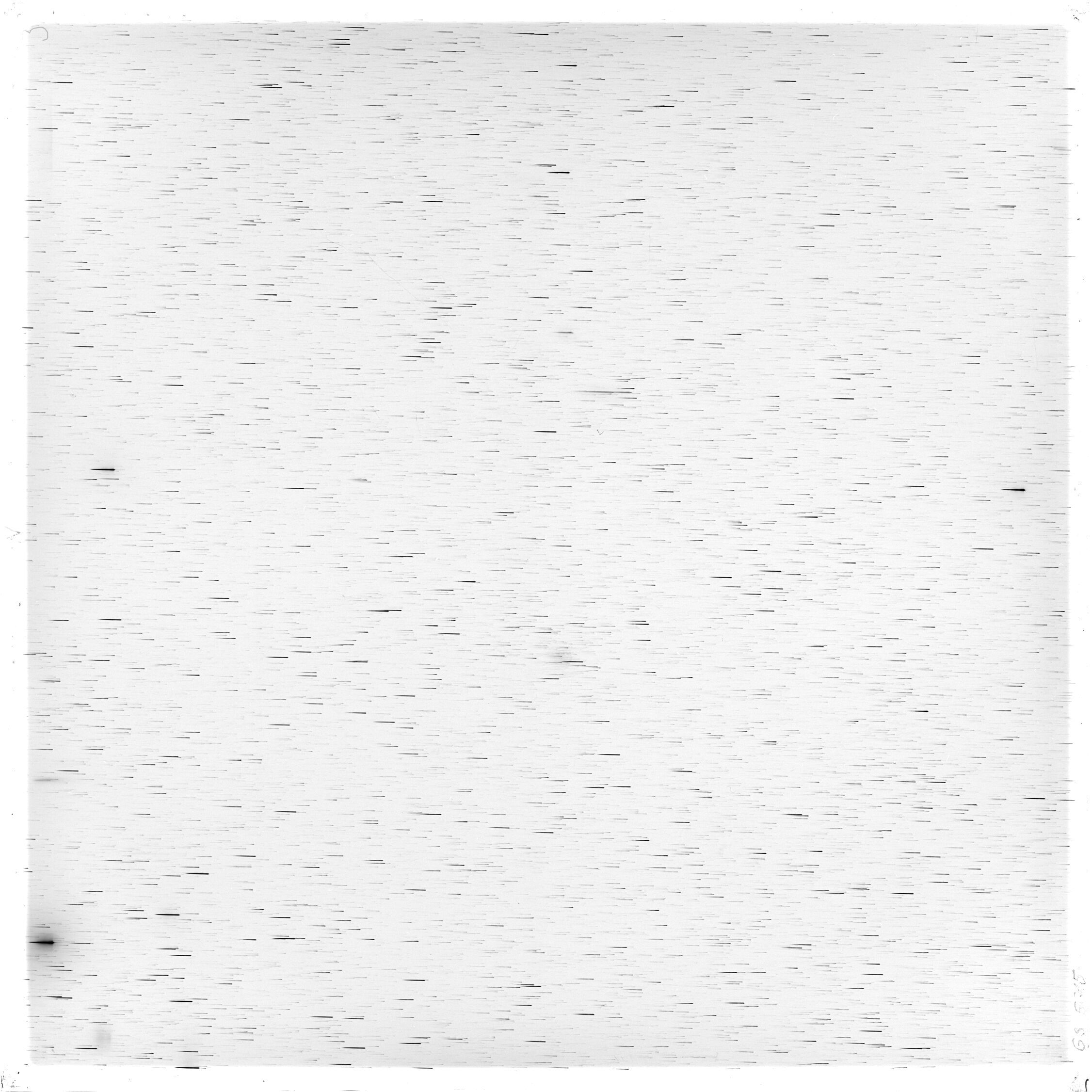 Scan GS05615