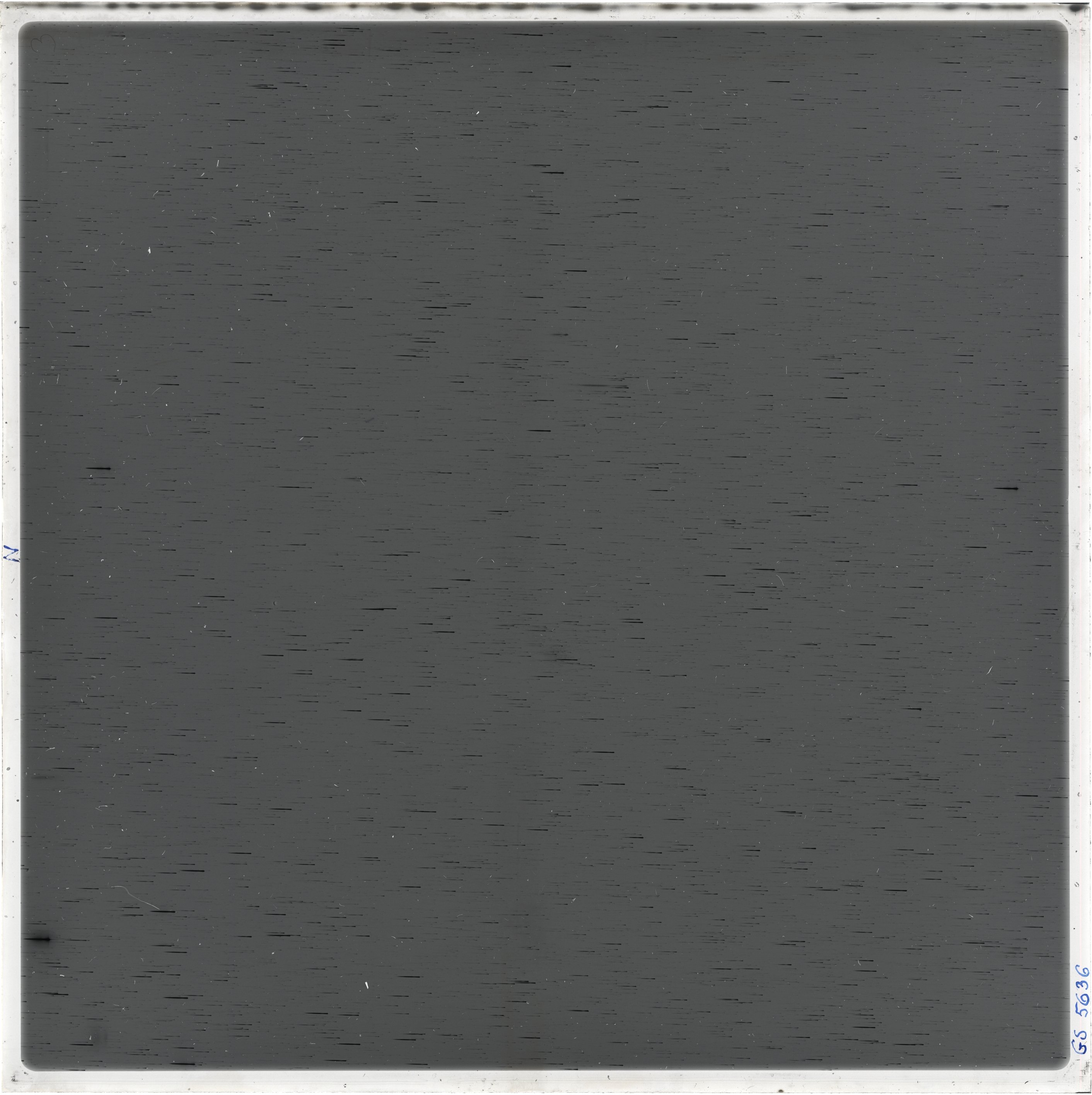 Scan GS05636