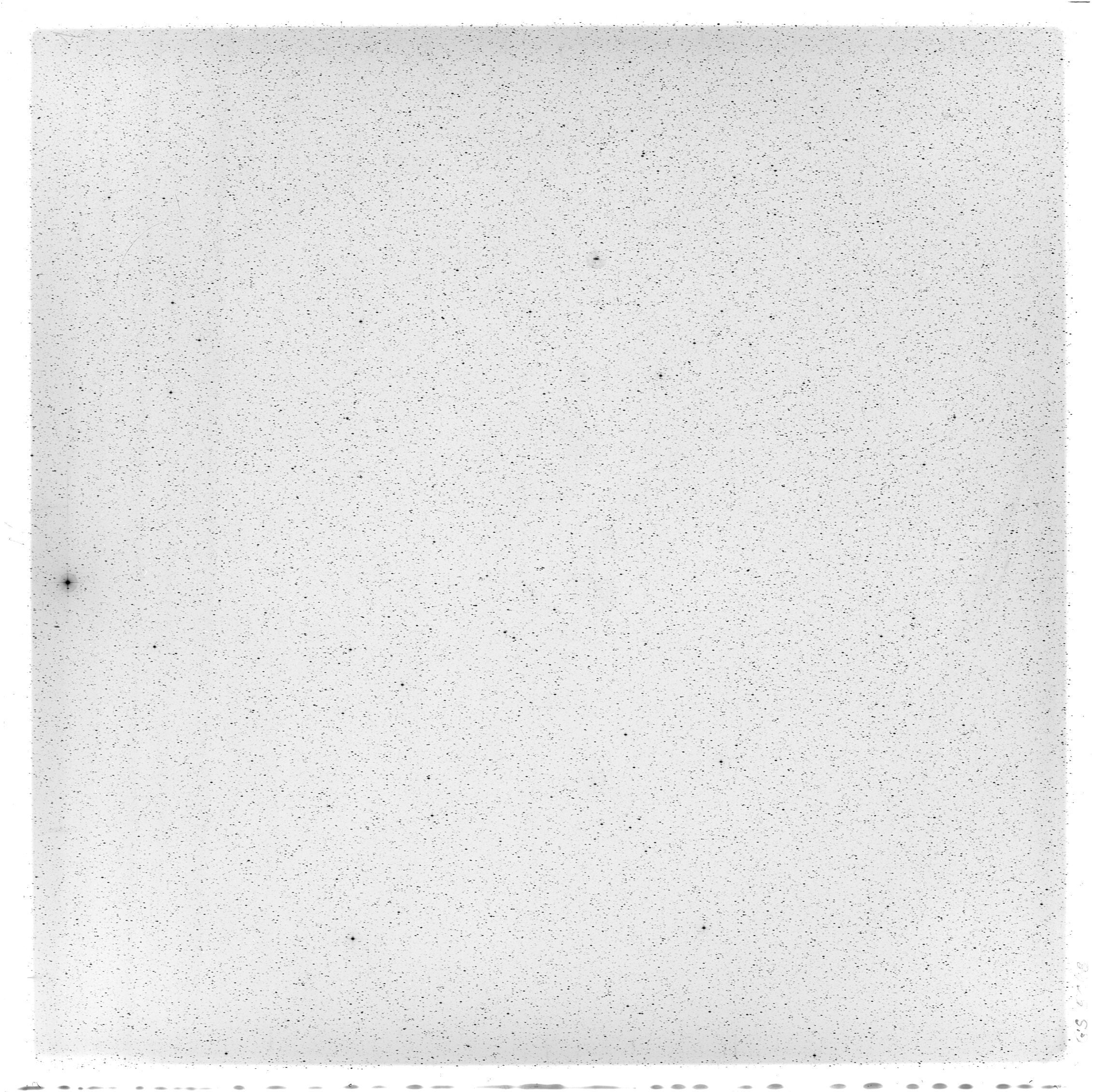 Scan GS05648