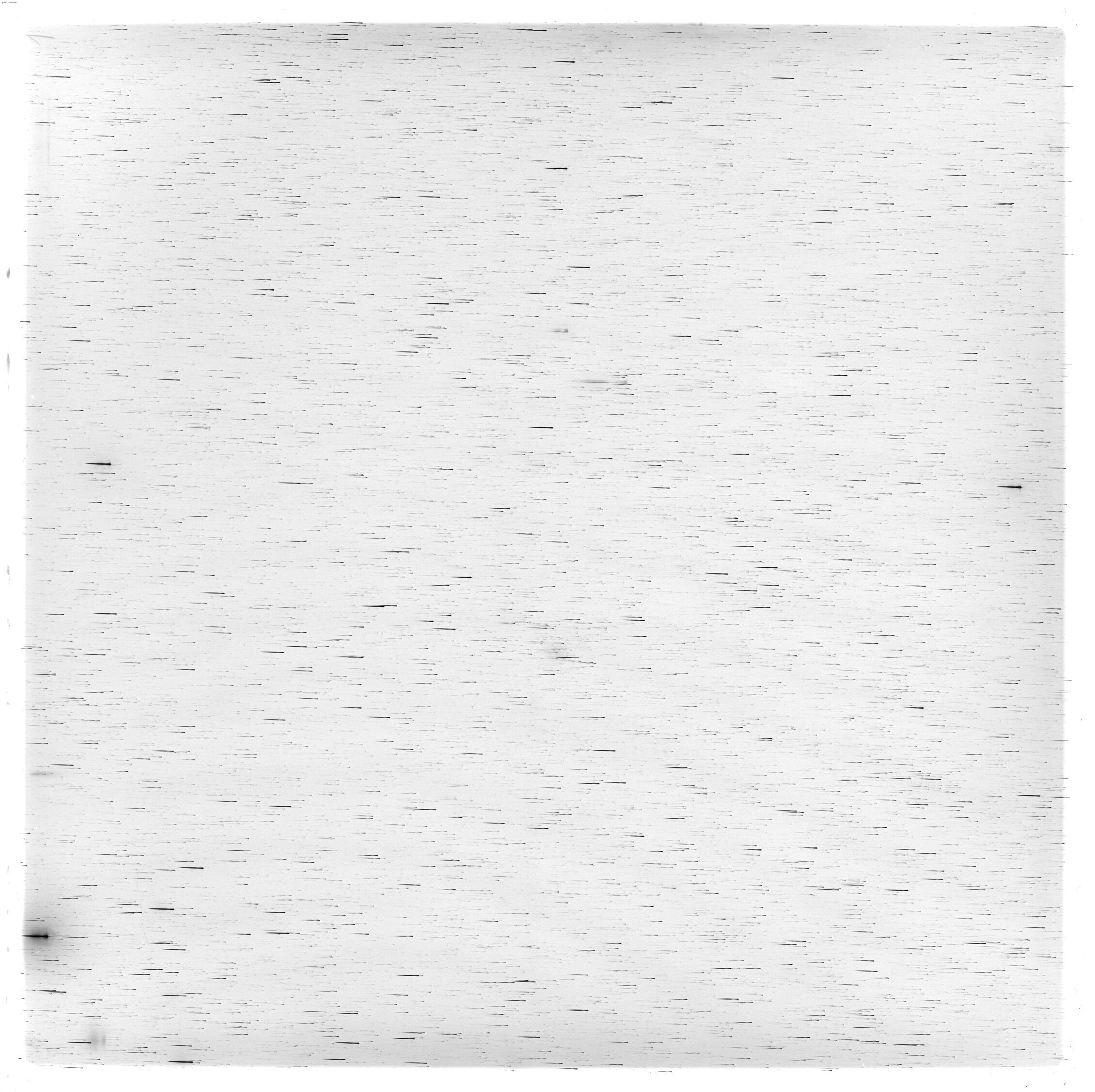 Scan GS05651