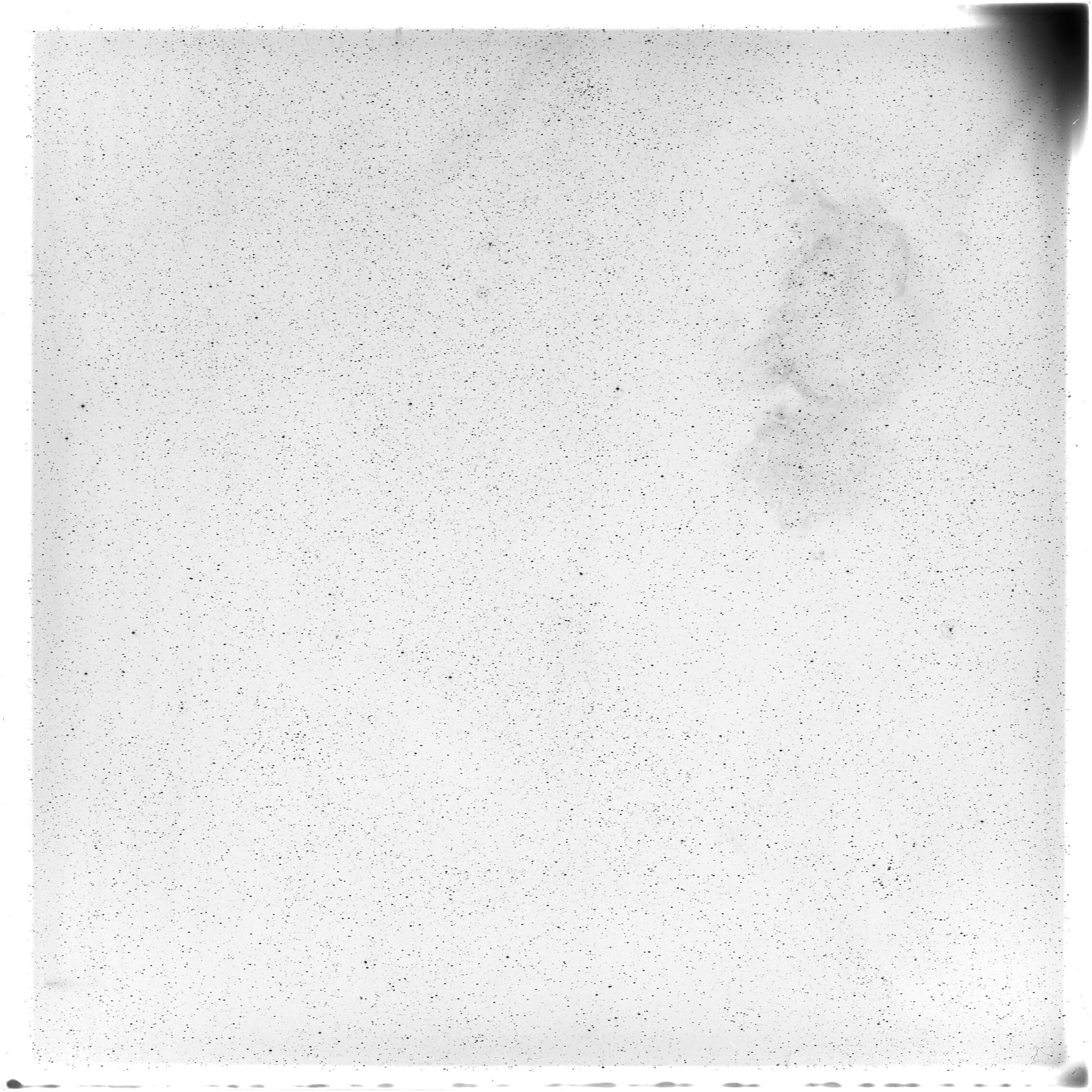 Scan GS05652