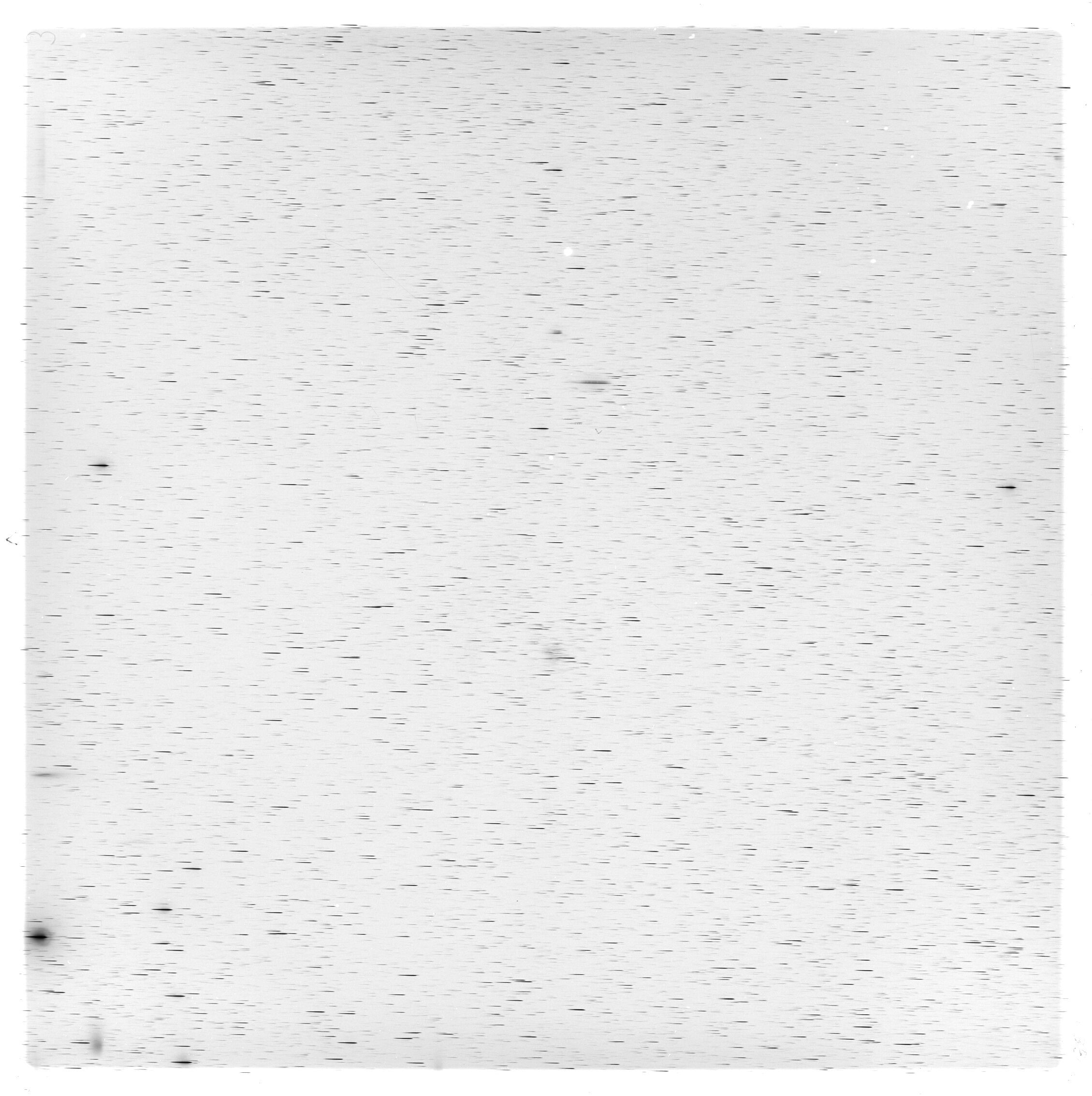 Scan GS05653
