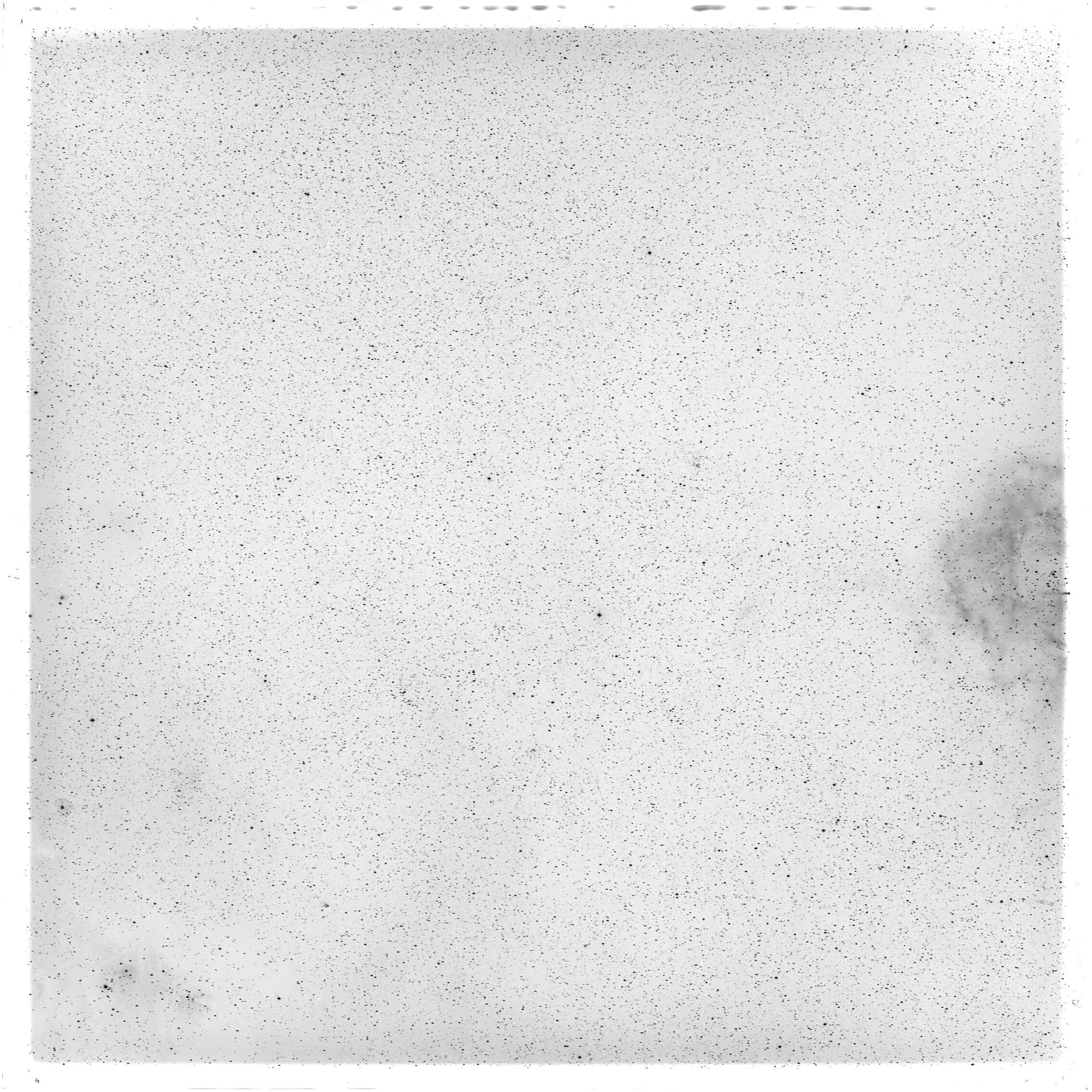 Scan GS05664
