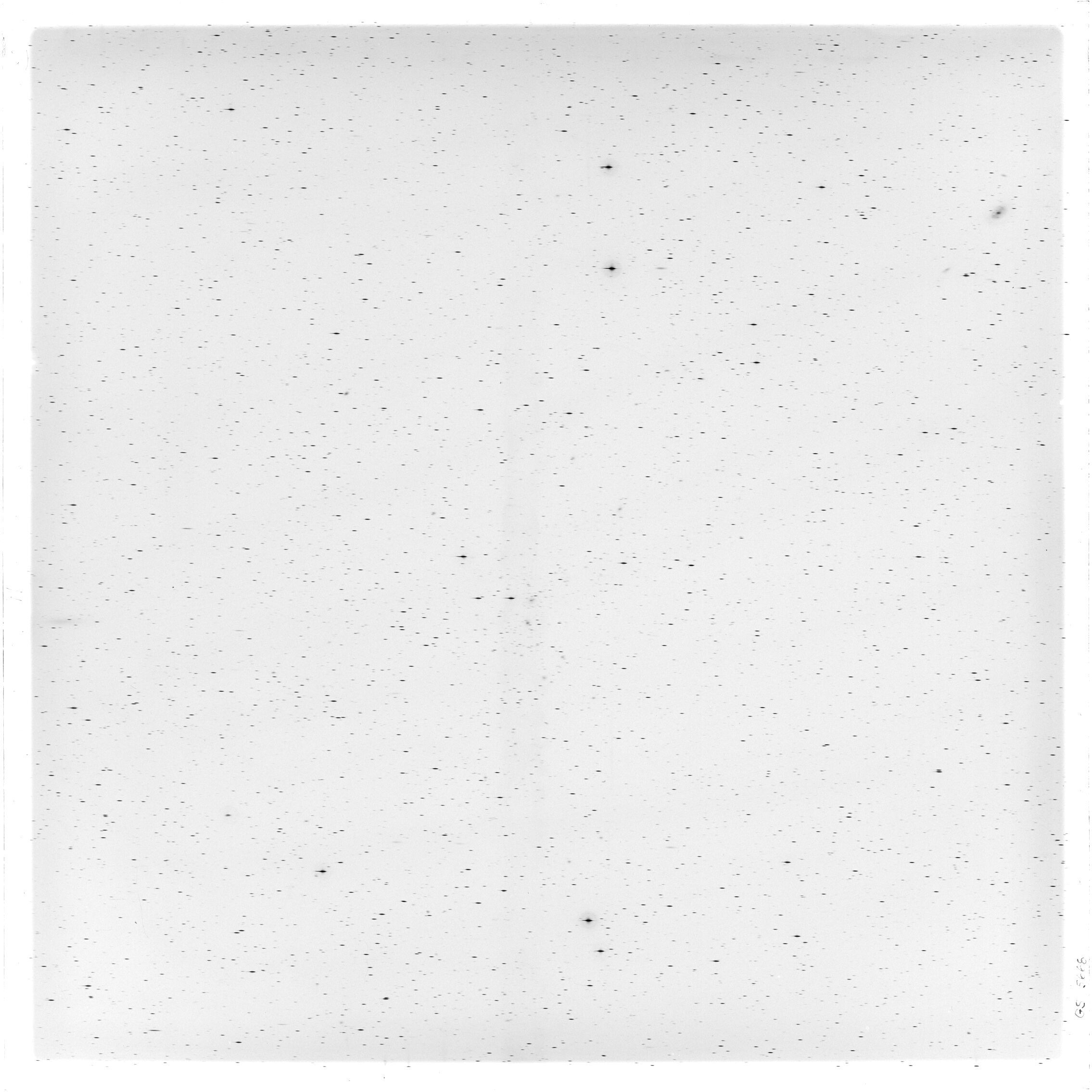 Scan GS05668