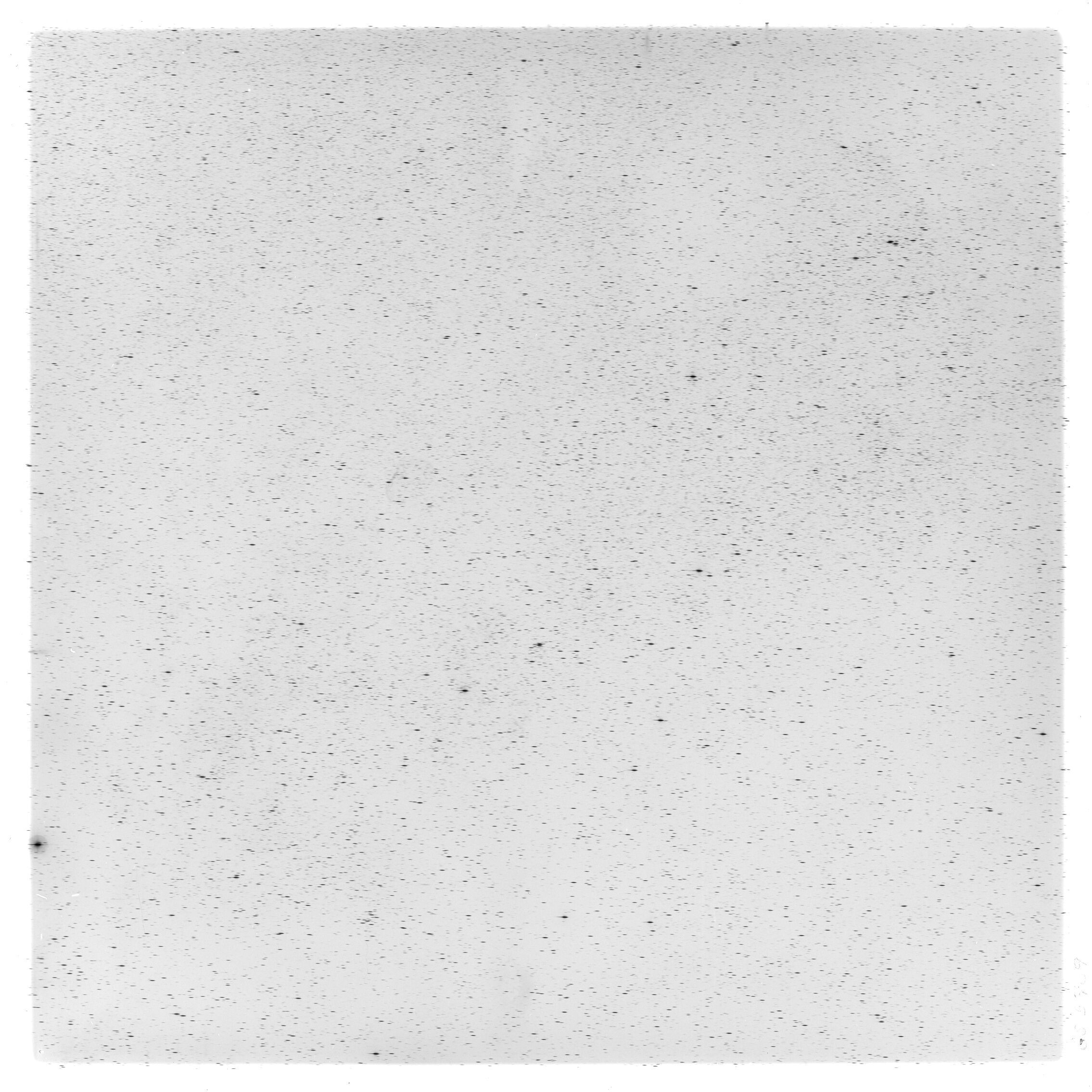 Scan GS05769