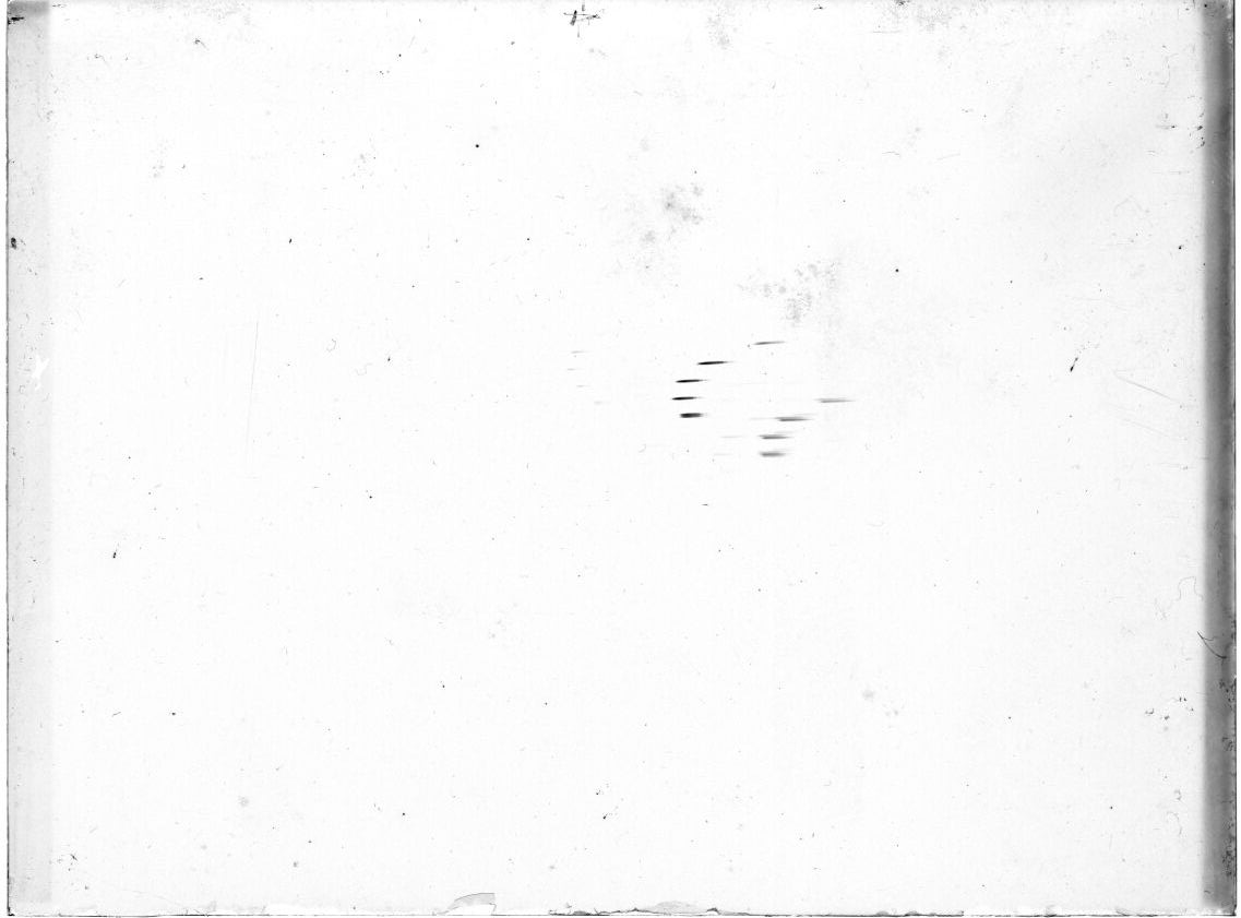 Scan GR01742