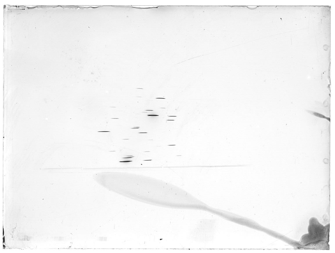 Scan GR01777t