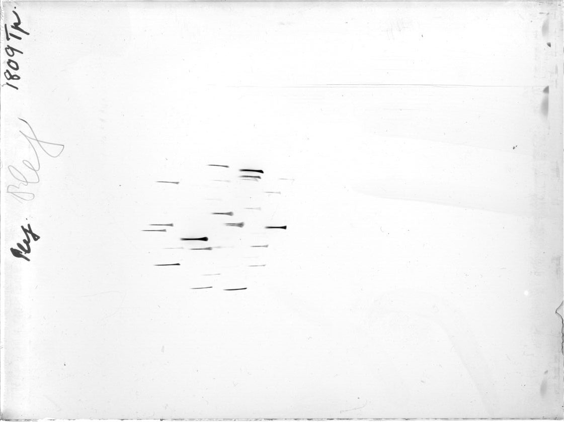 Scan GR01809t