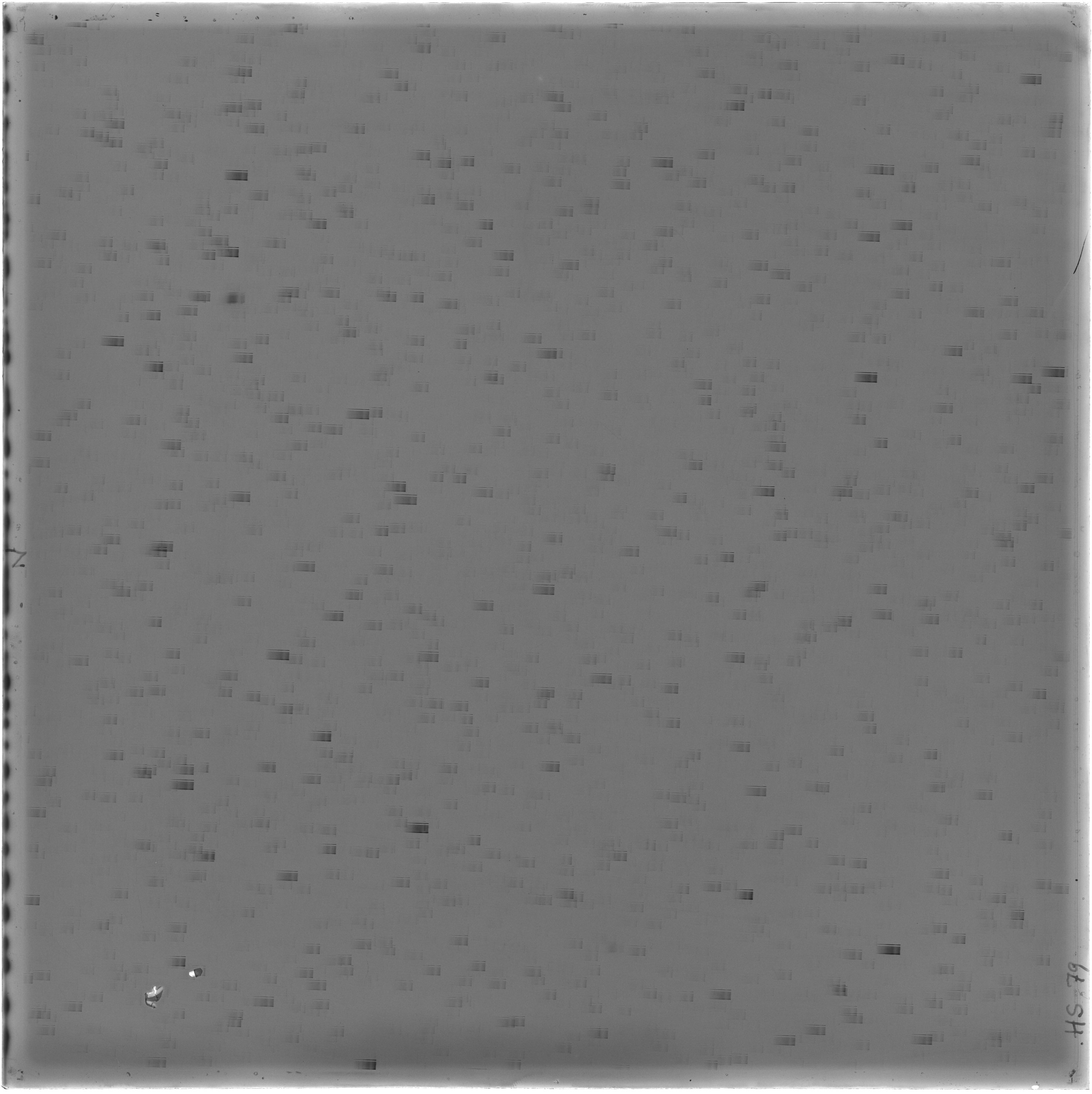 Scan HS00079