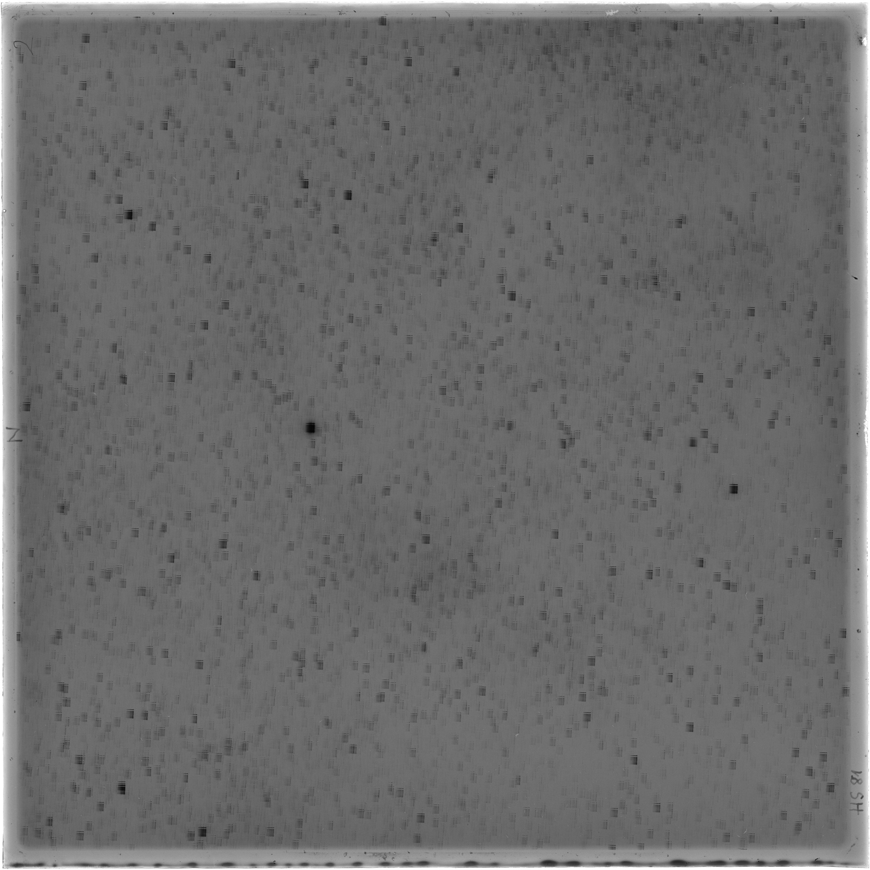 Scan HS00081