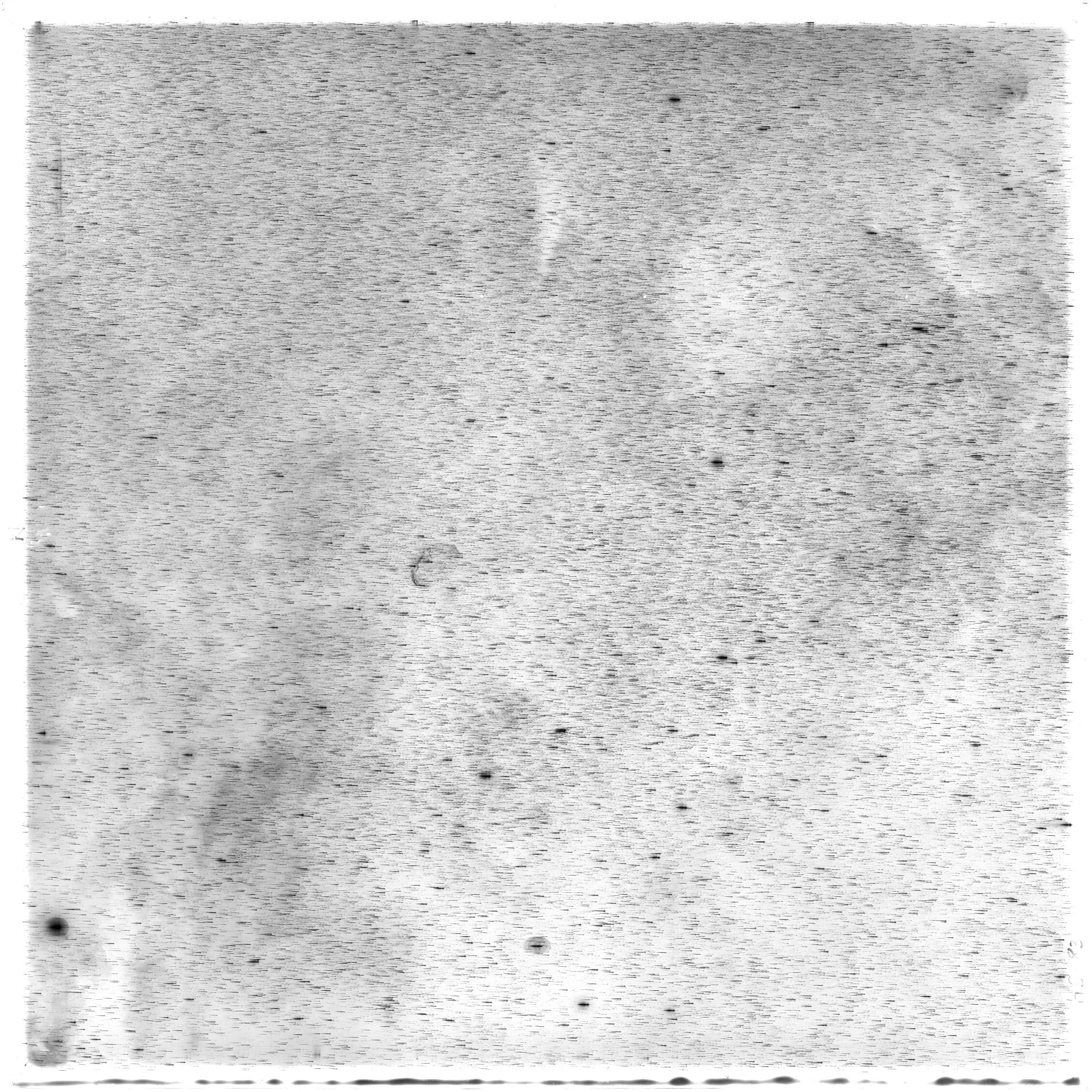 Scan HS00083