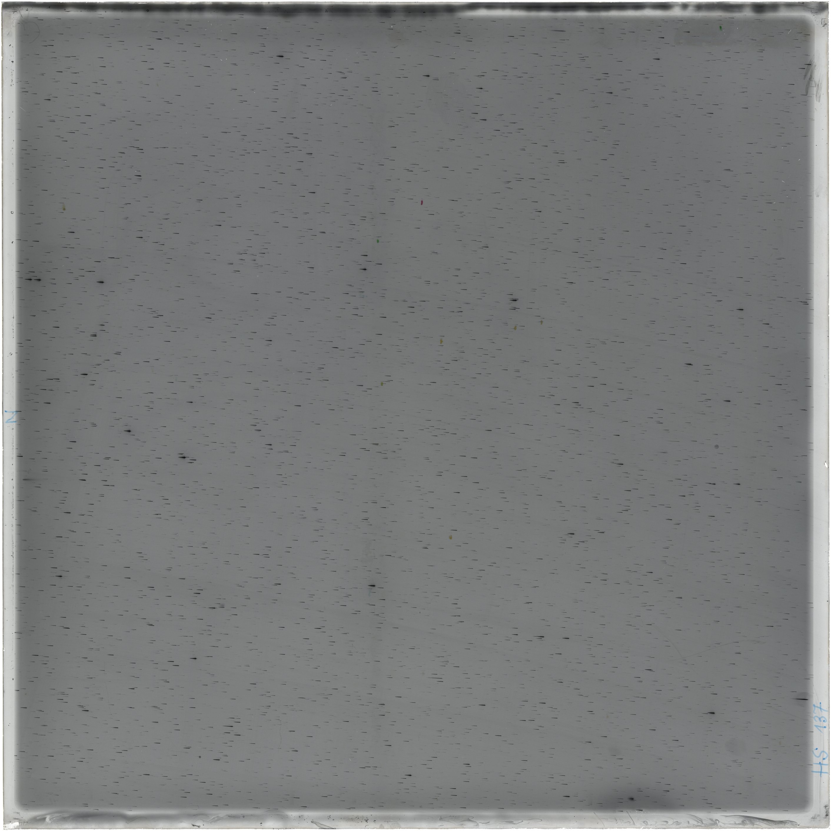 Scan HS00137