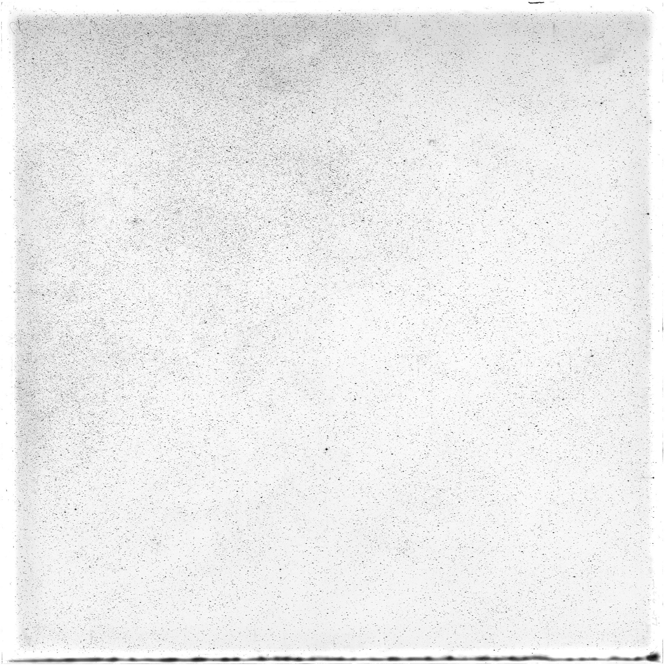 Scan HS00235