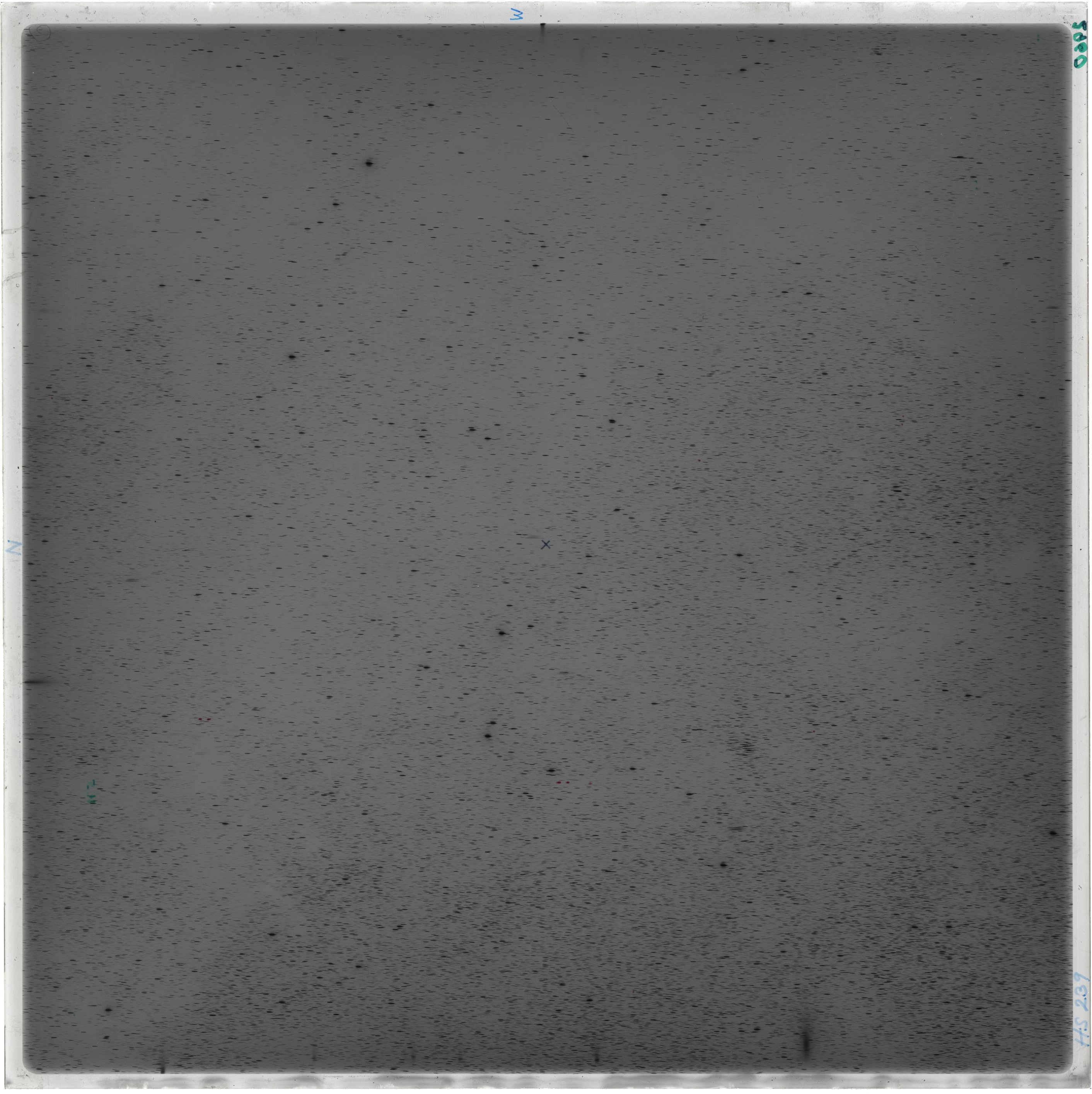 Scan HS00239