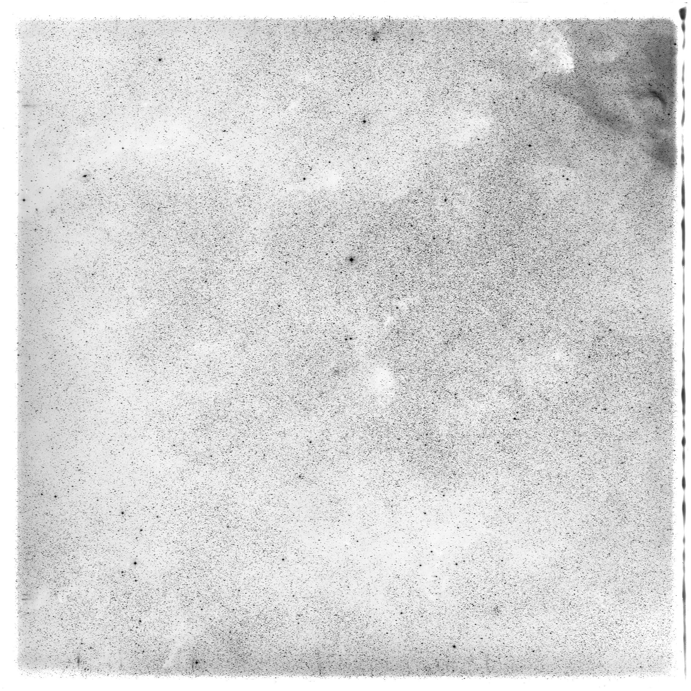 Scan HS00242