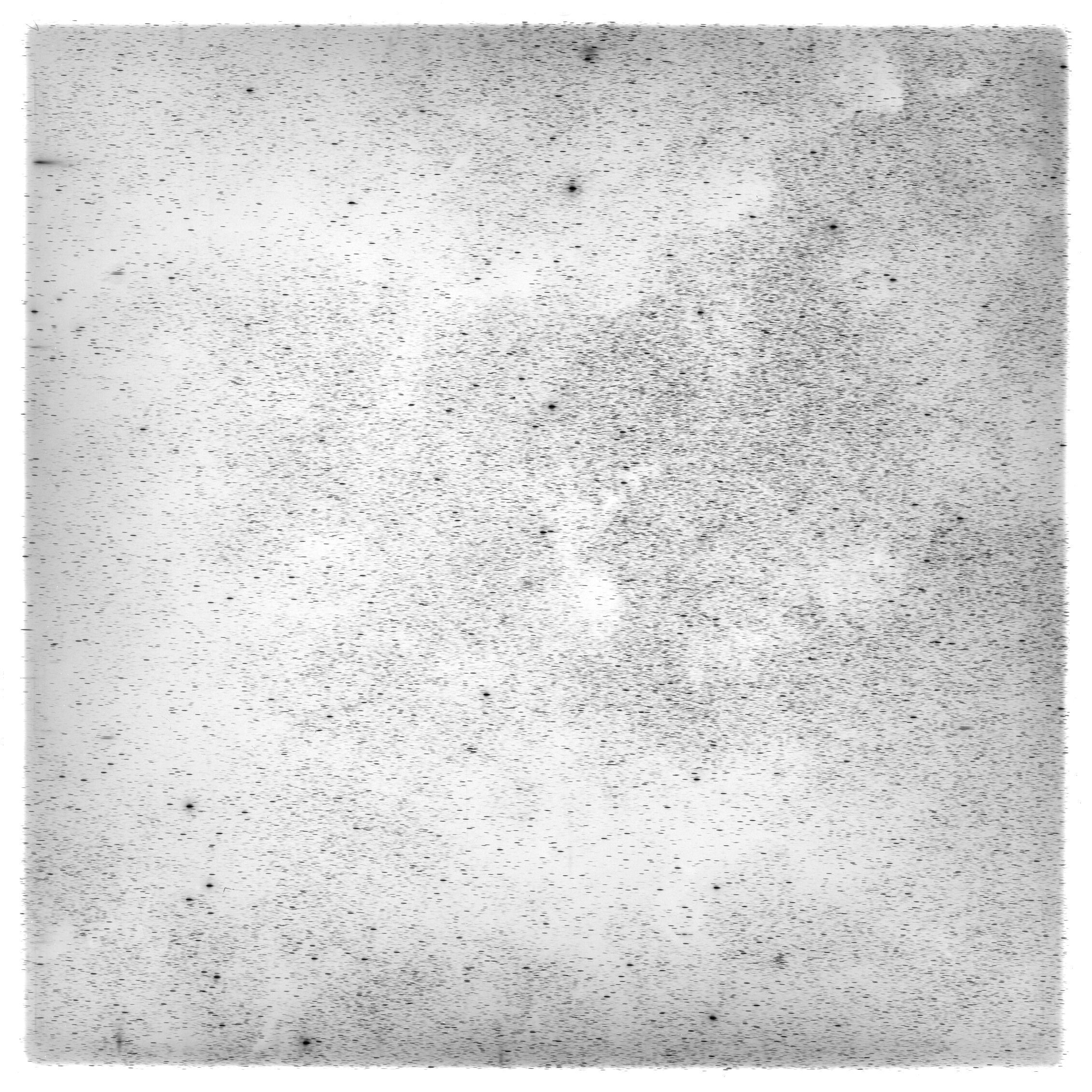 Scan HS00243