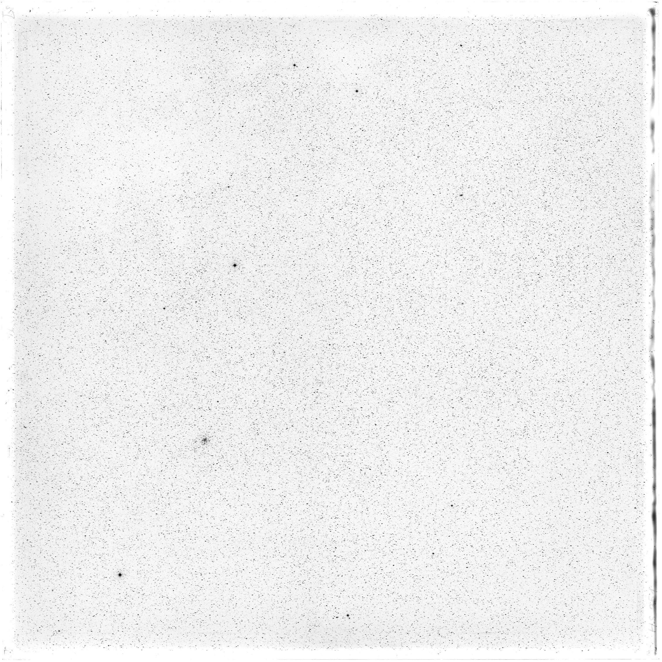 Scan HS00251