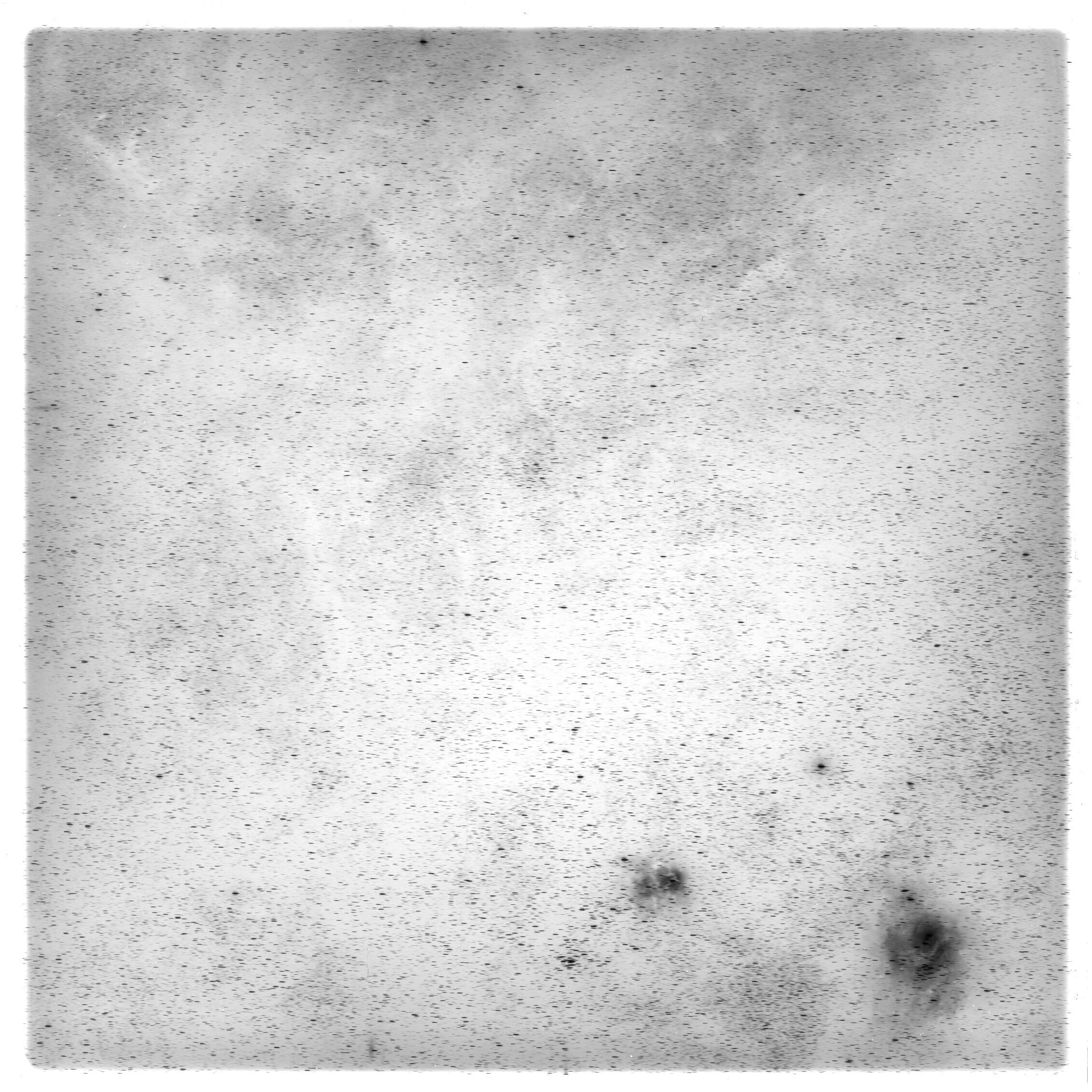 Scan HS00253