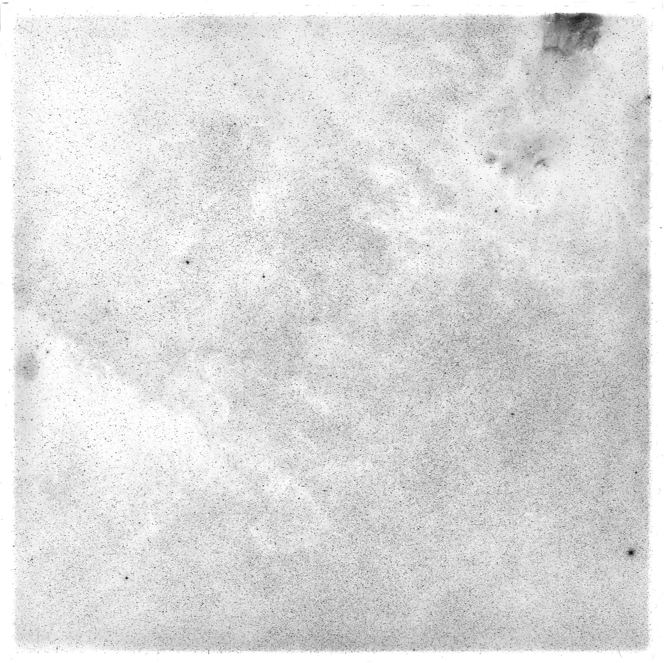 Scan HS00257