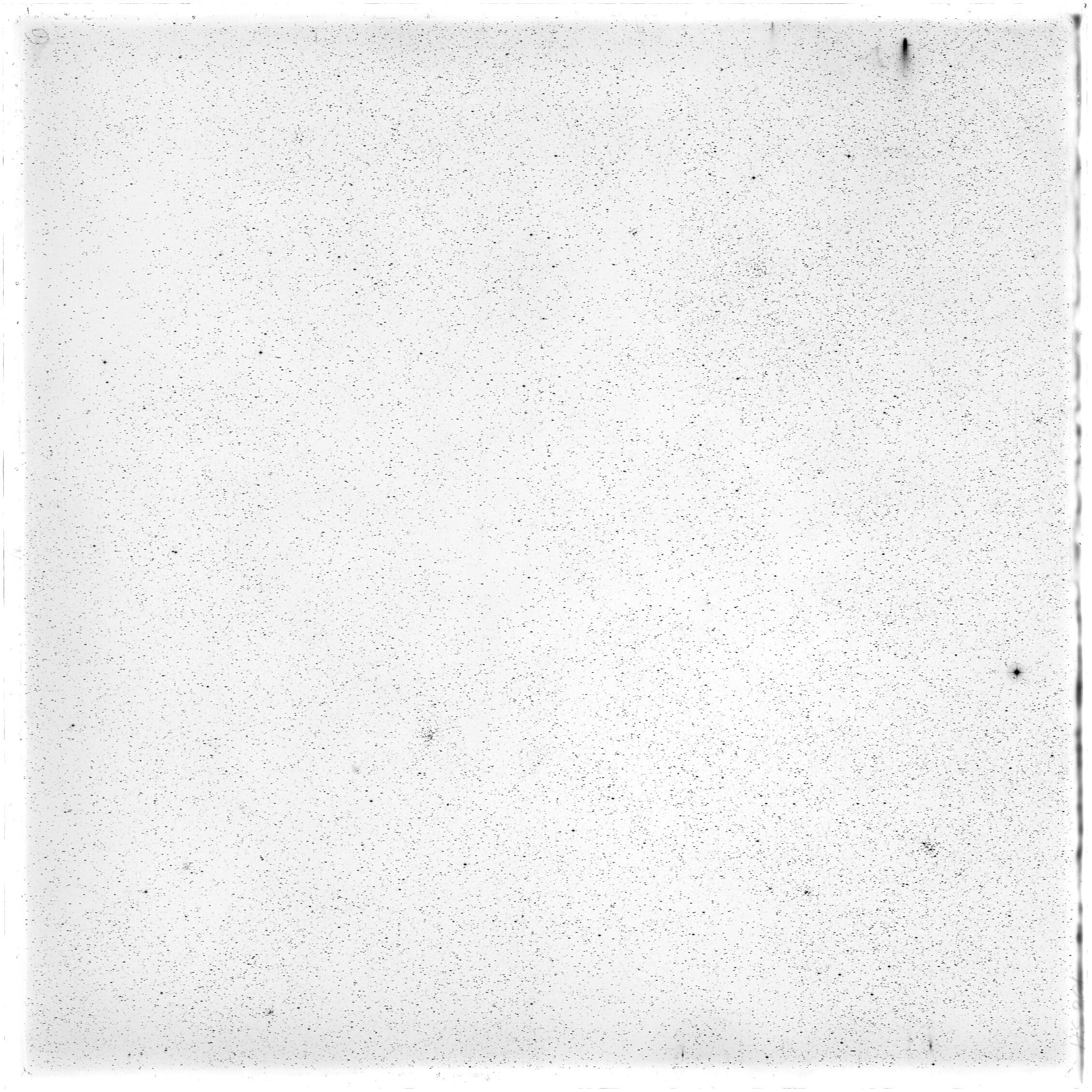 Scan HS00261