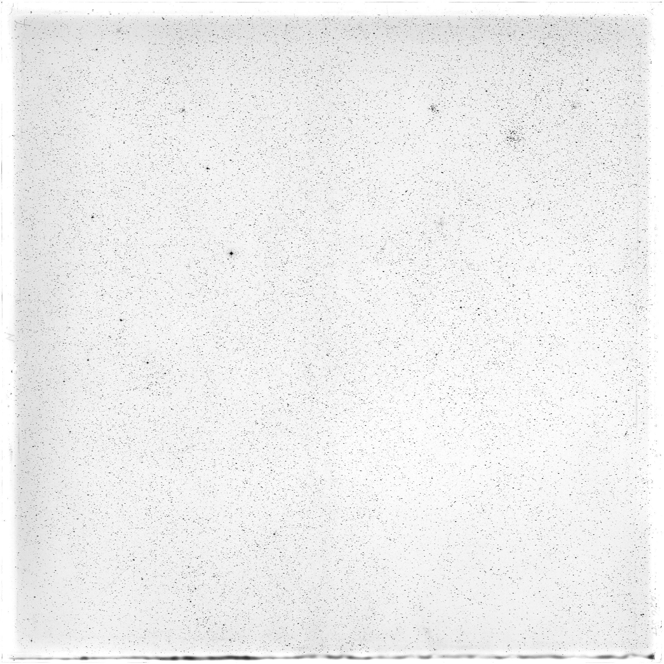 Scan HS00262