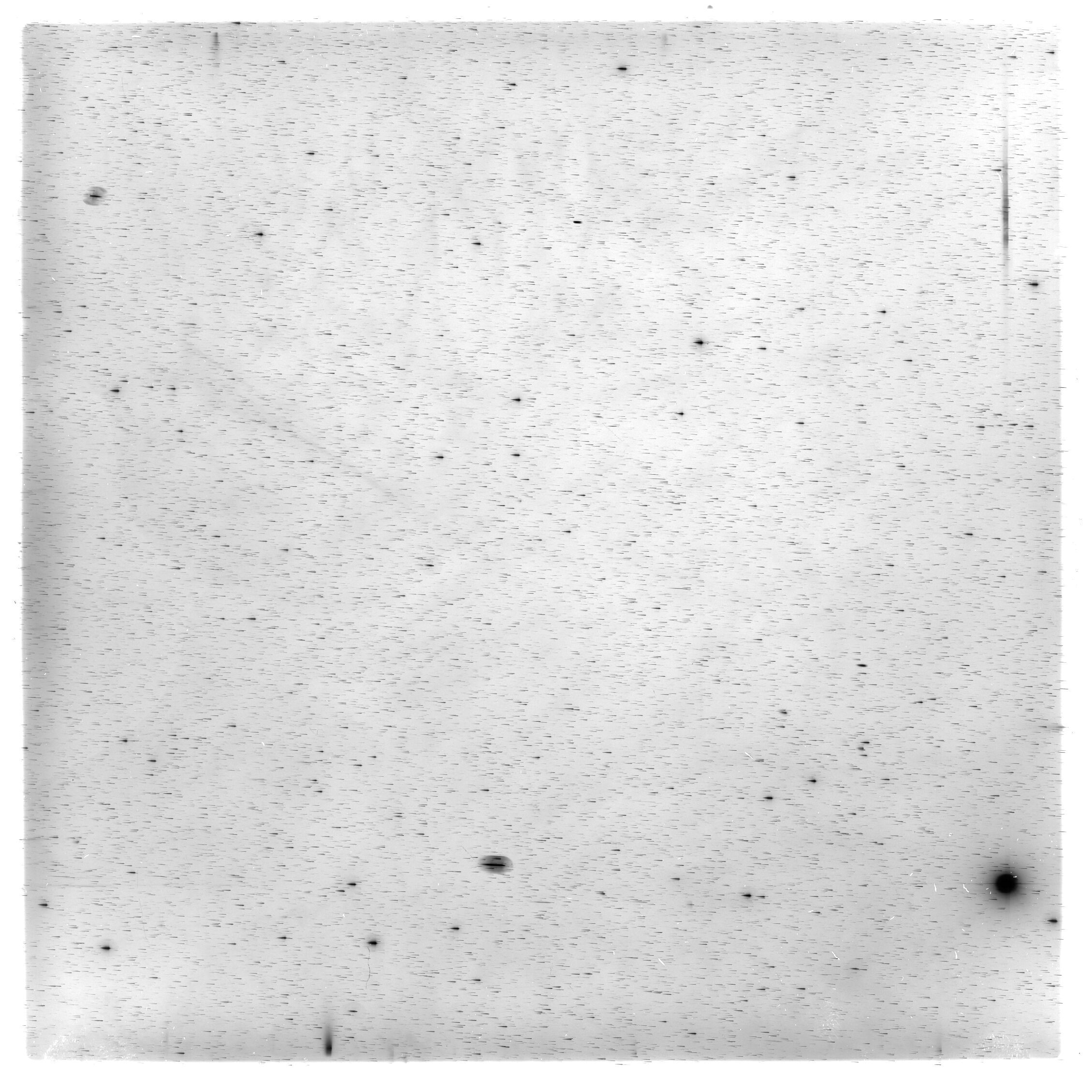 Scan HS00313