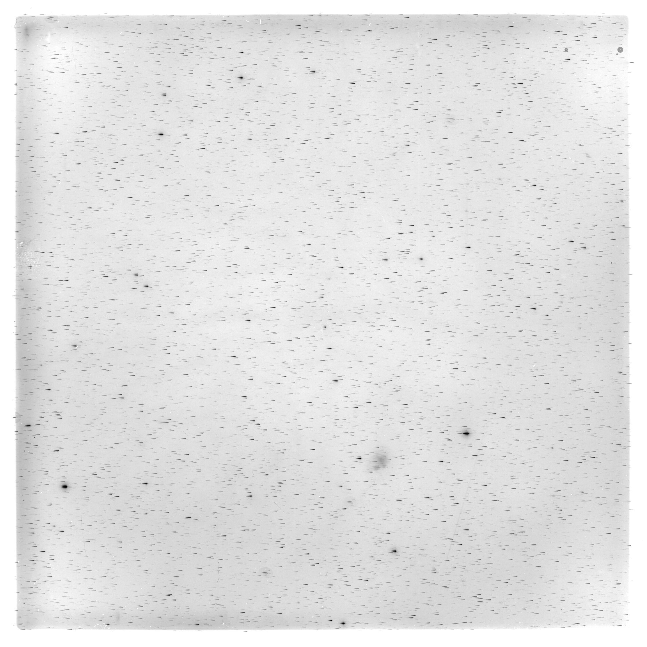Scan HS00321