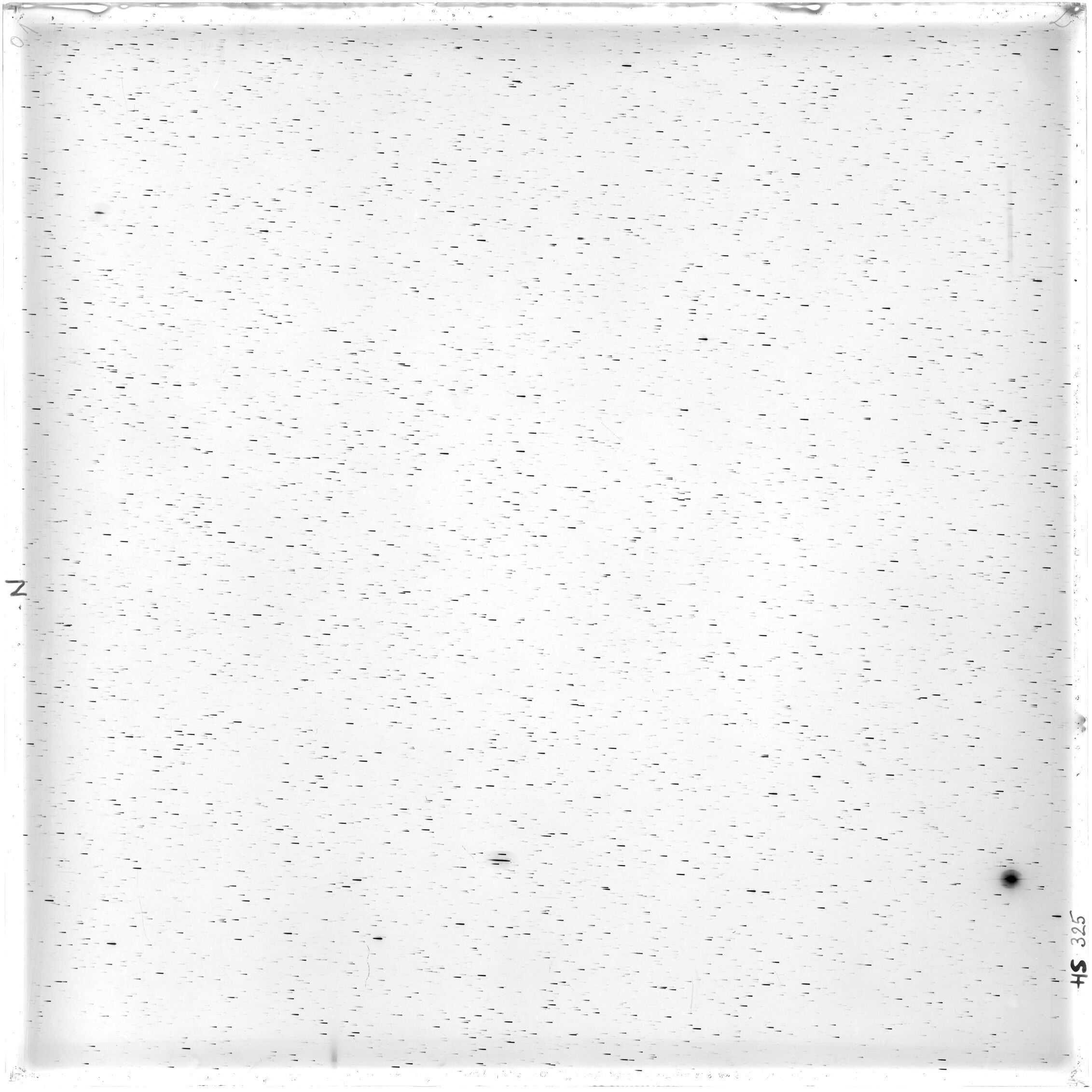 Scan HS00325