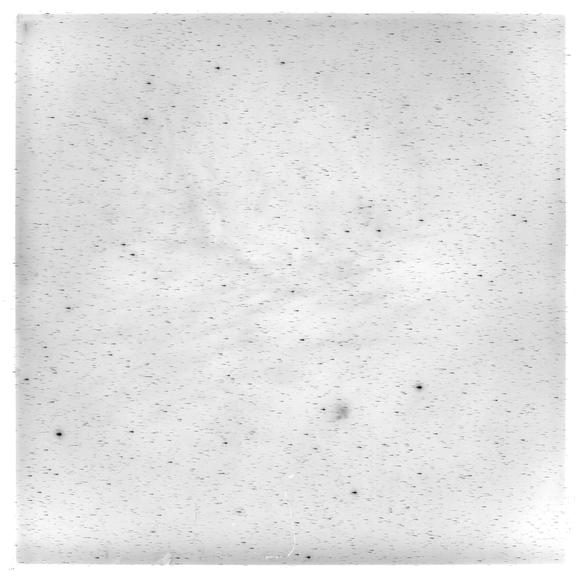 Scan HS00333