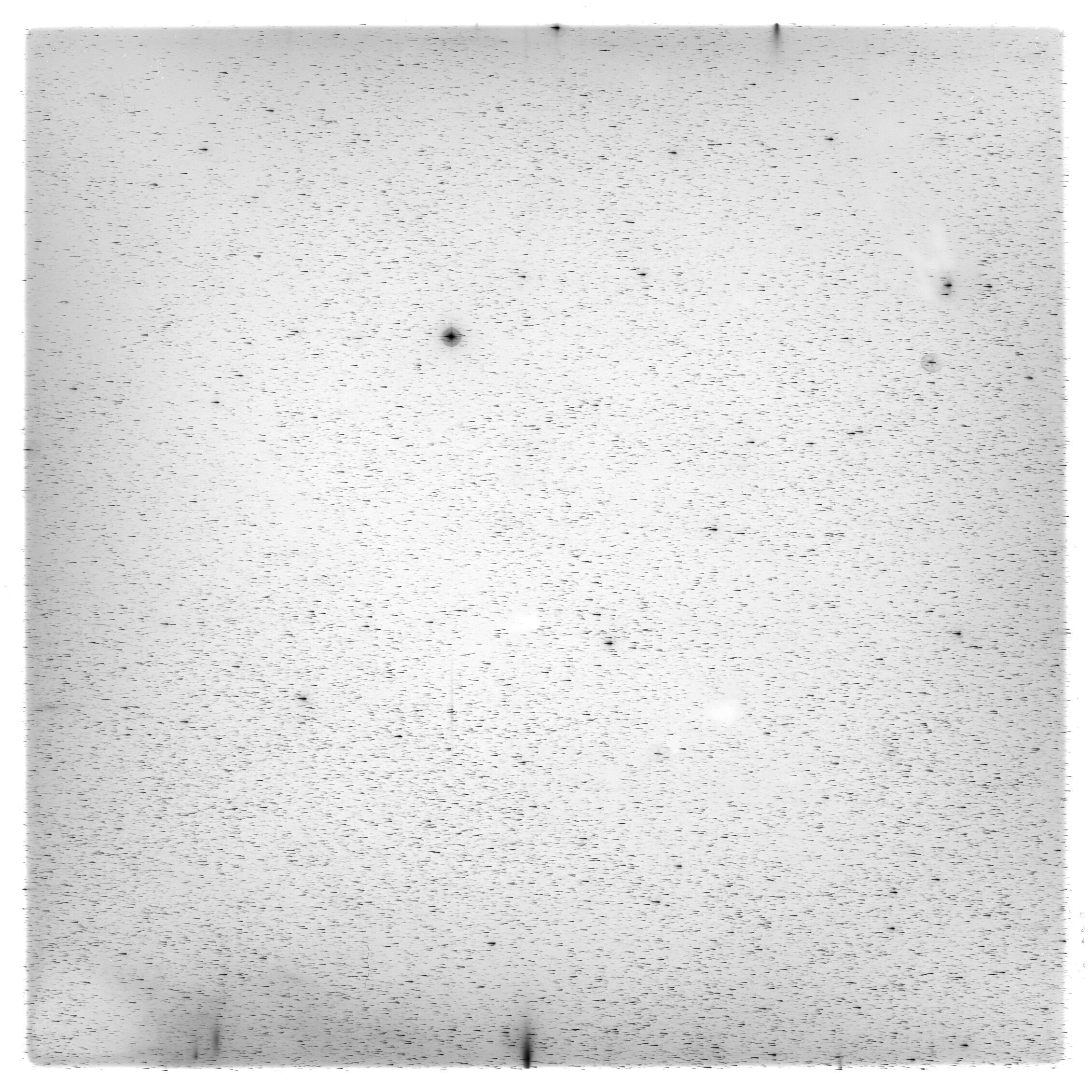 Scan HS00336