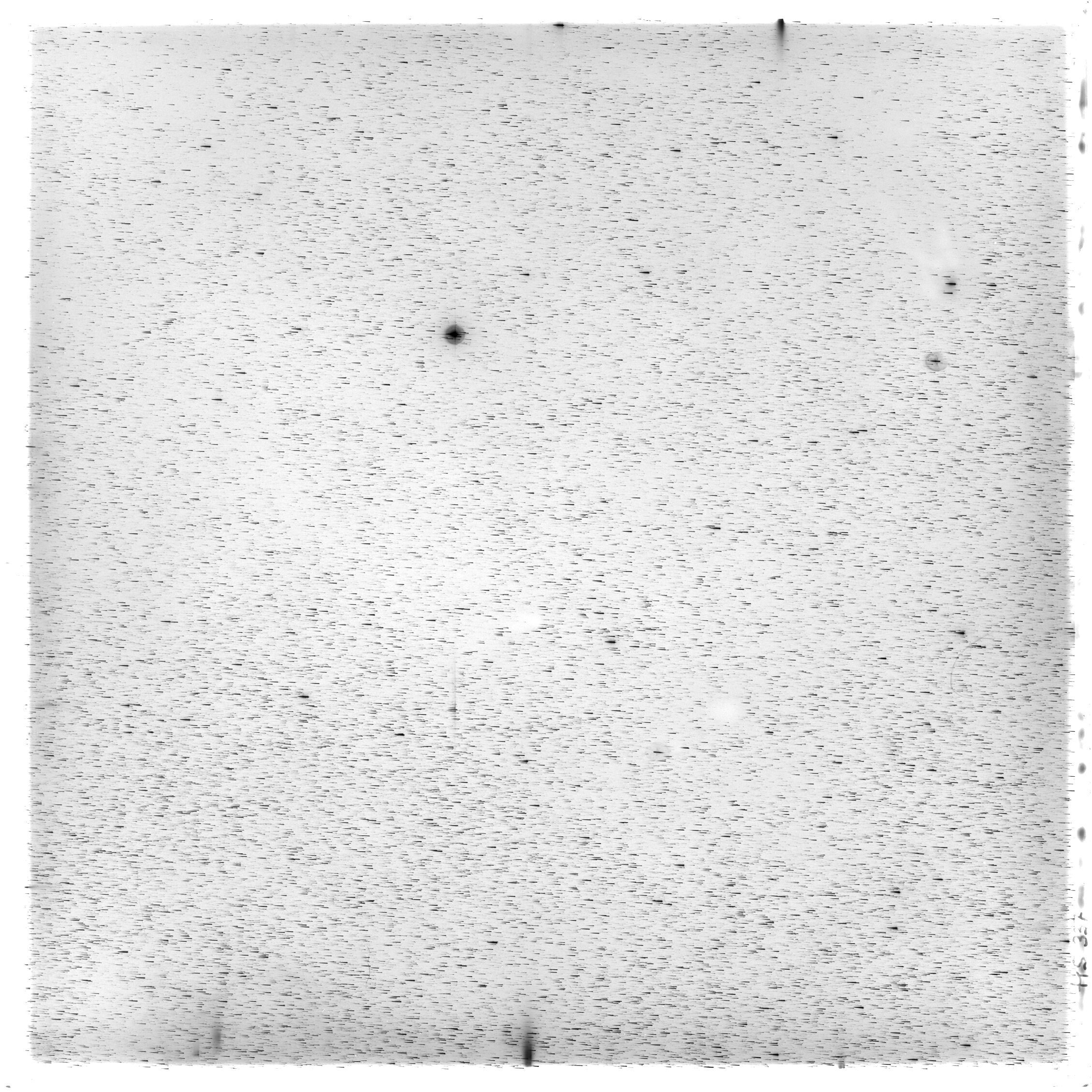 Scan HS00337