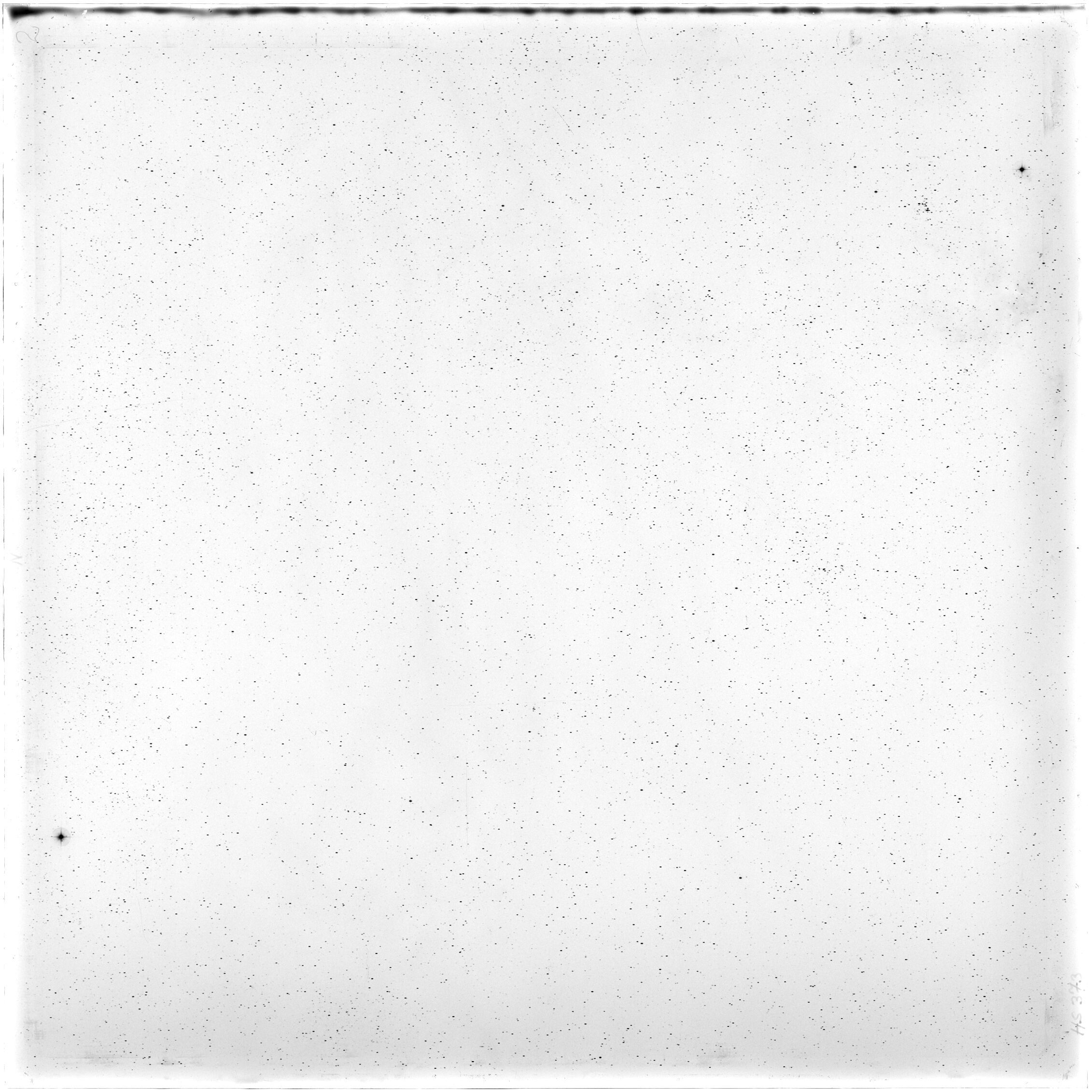 Scan HS00373