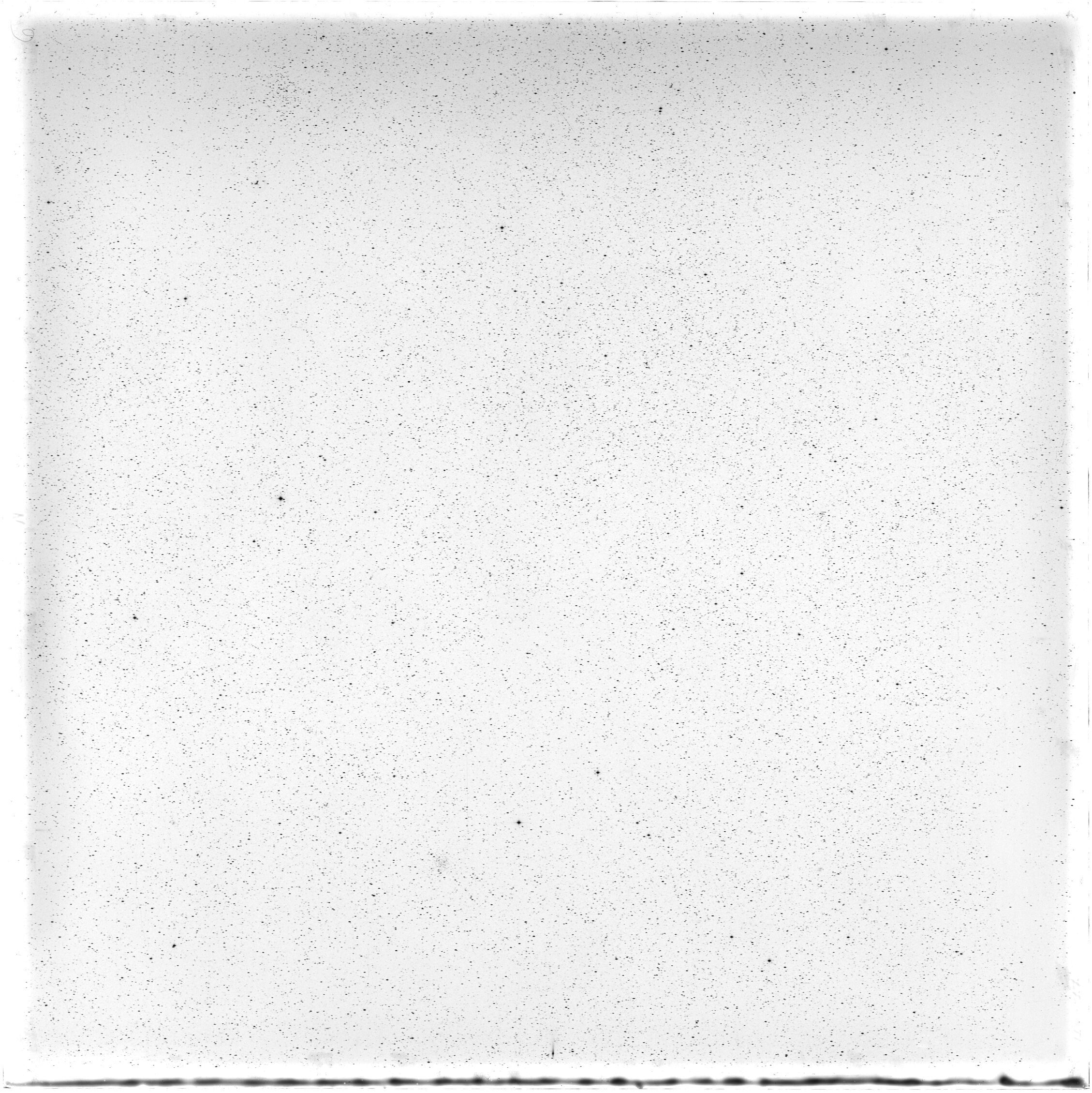 Scan HS00377